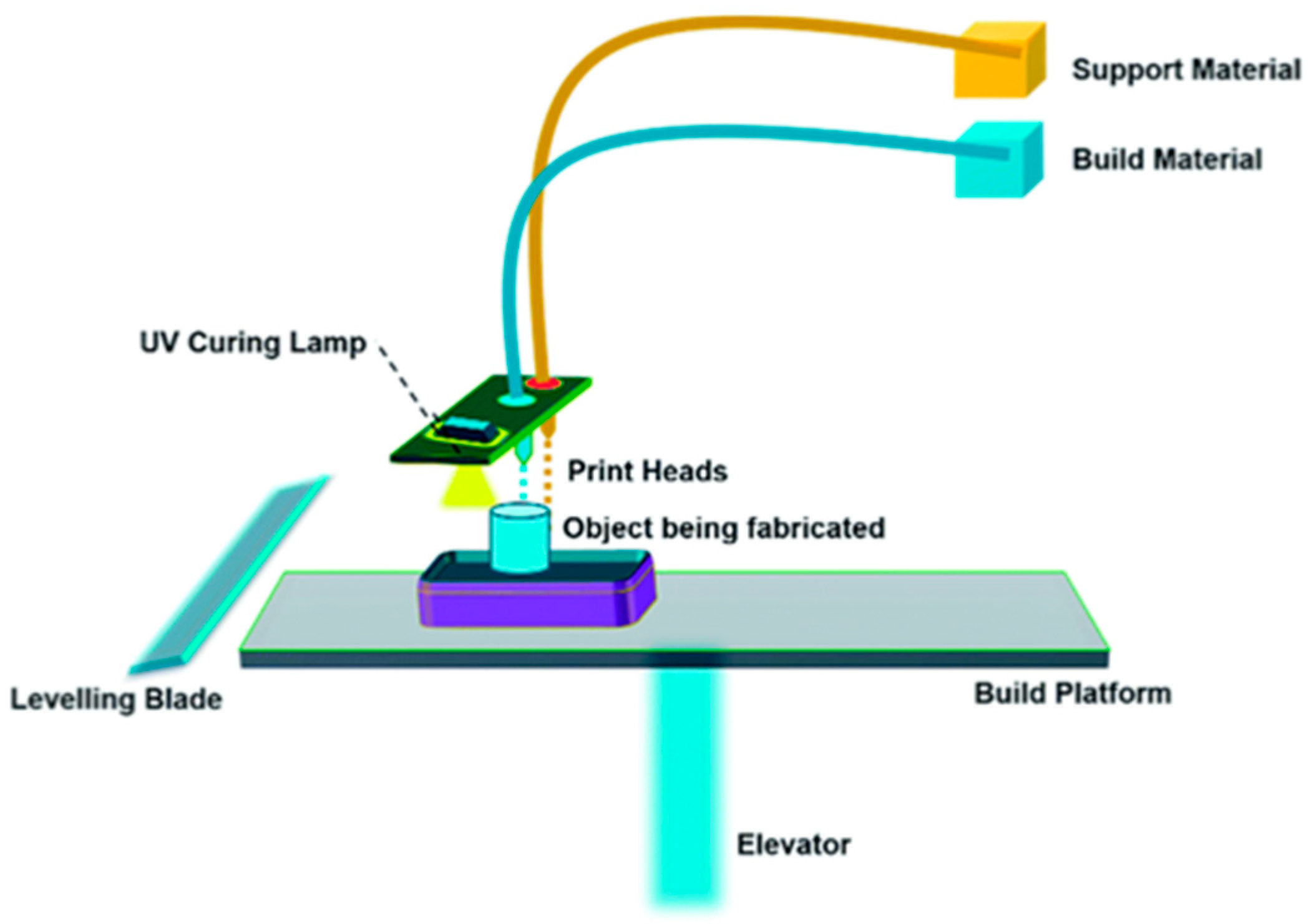 Bioengineering 12 00249 g001