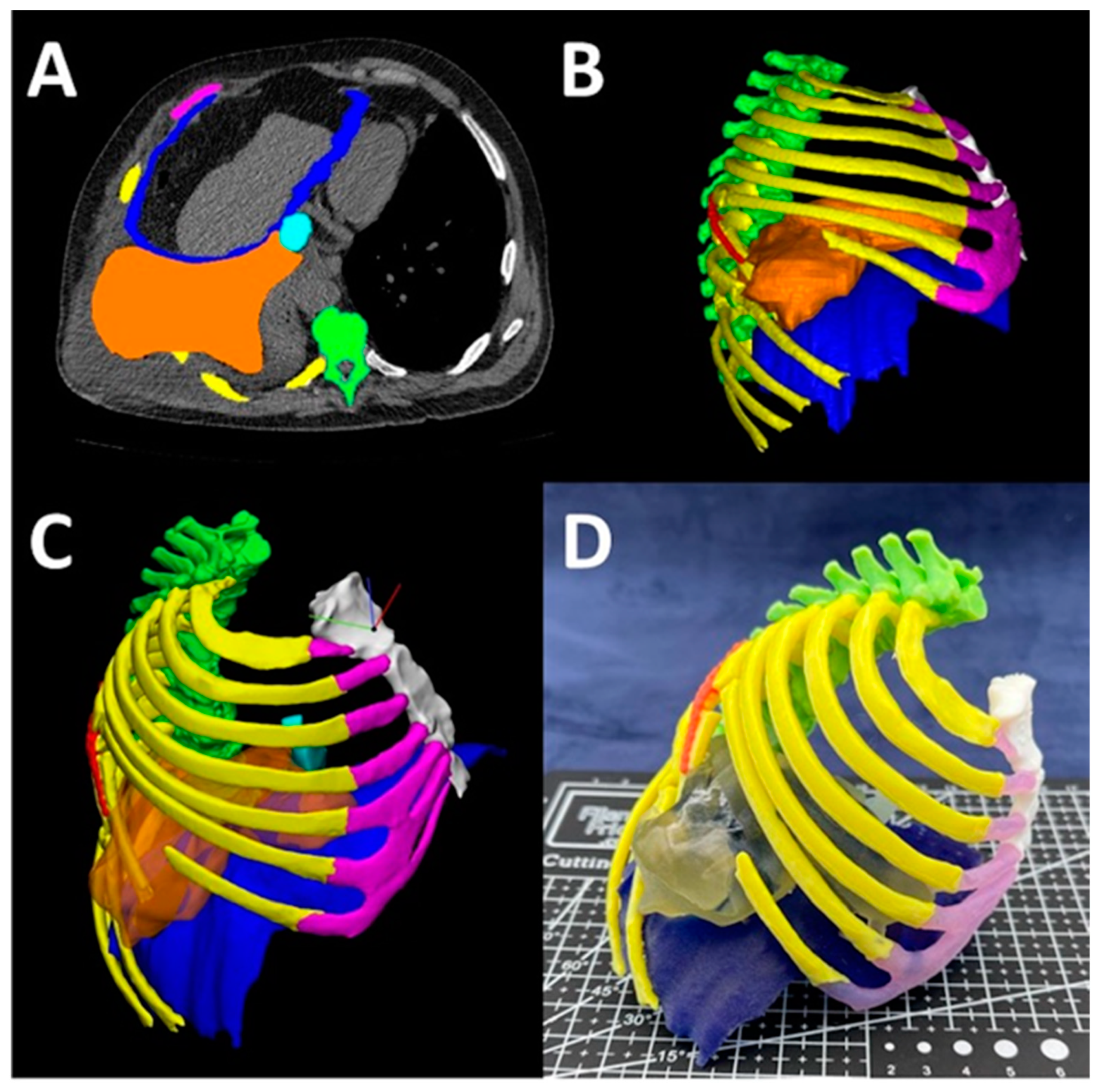 Bioengineering 12 00249 g007