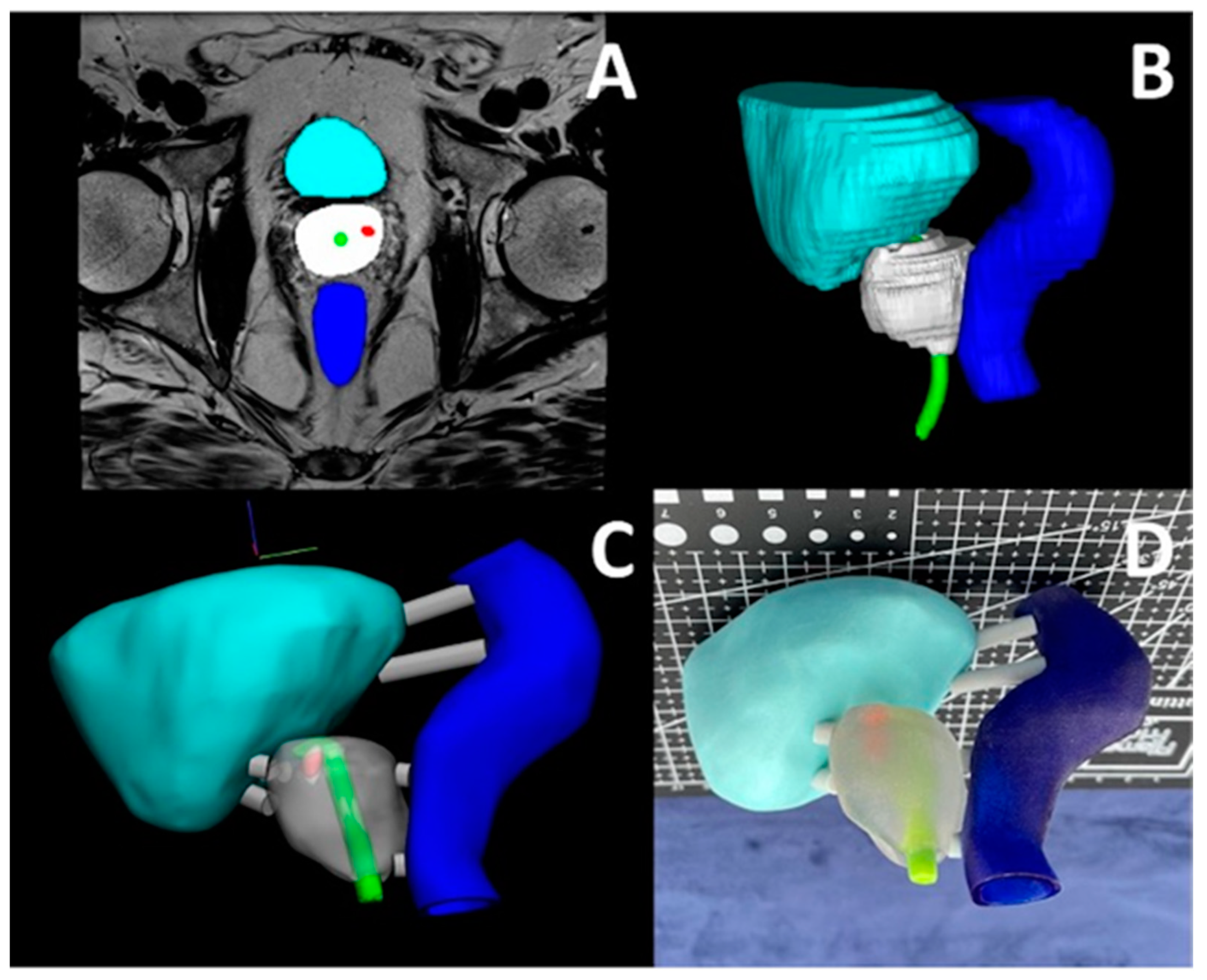 Bioengineering 12 00249 g008
