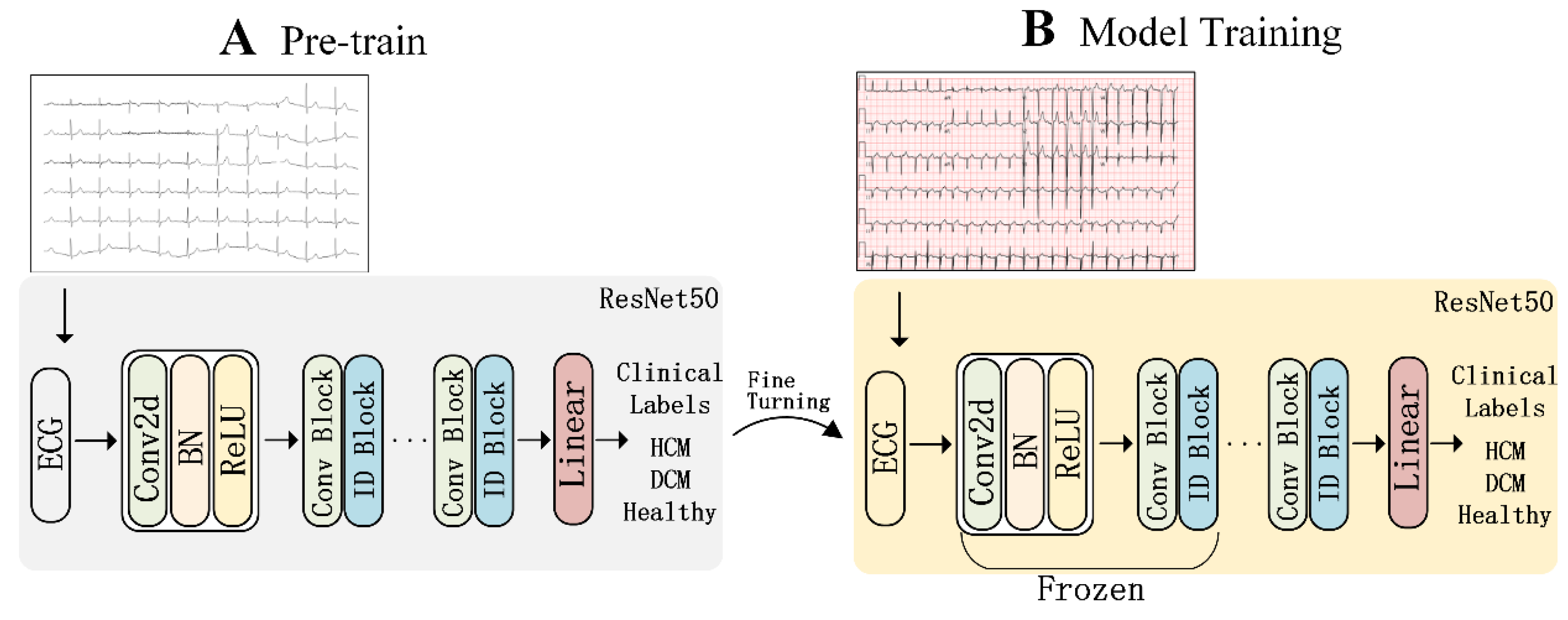 Bioengineering 12 00250 g003