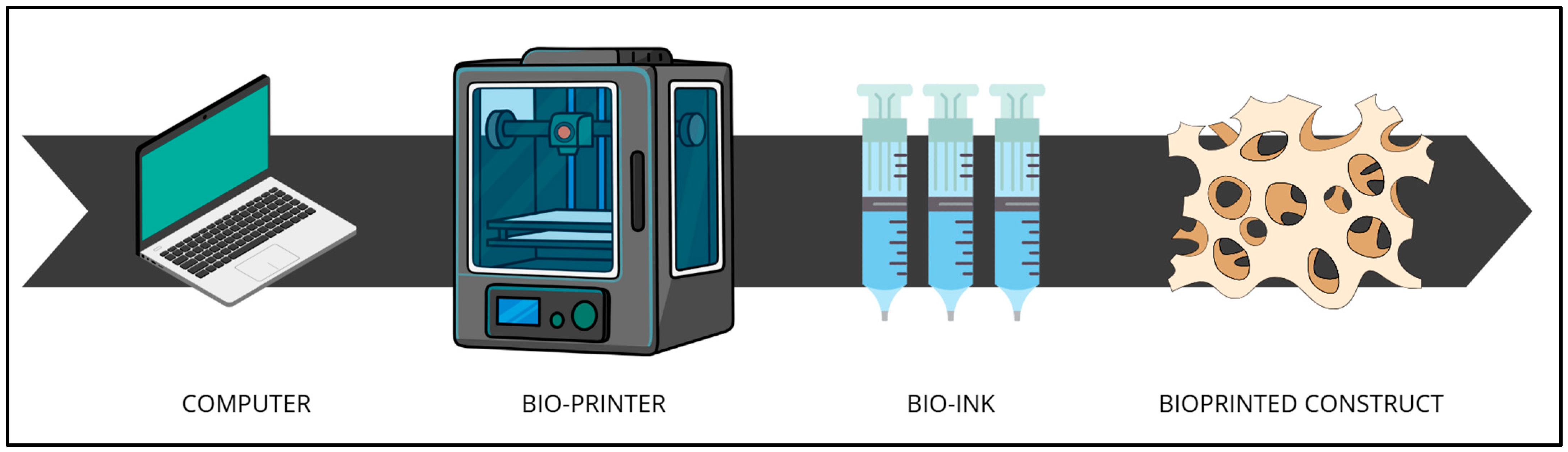 Bioengineering 12 00251 g001