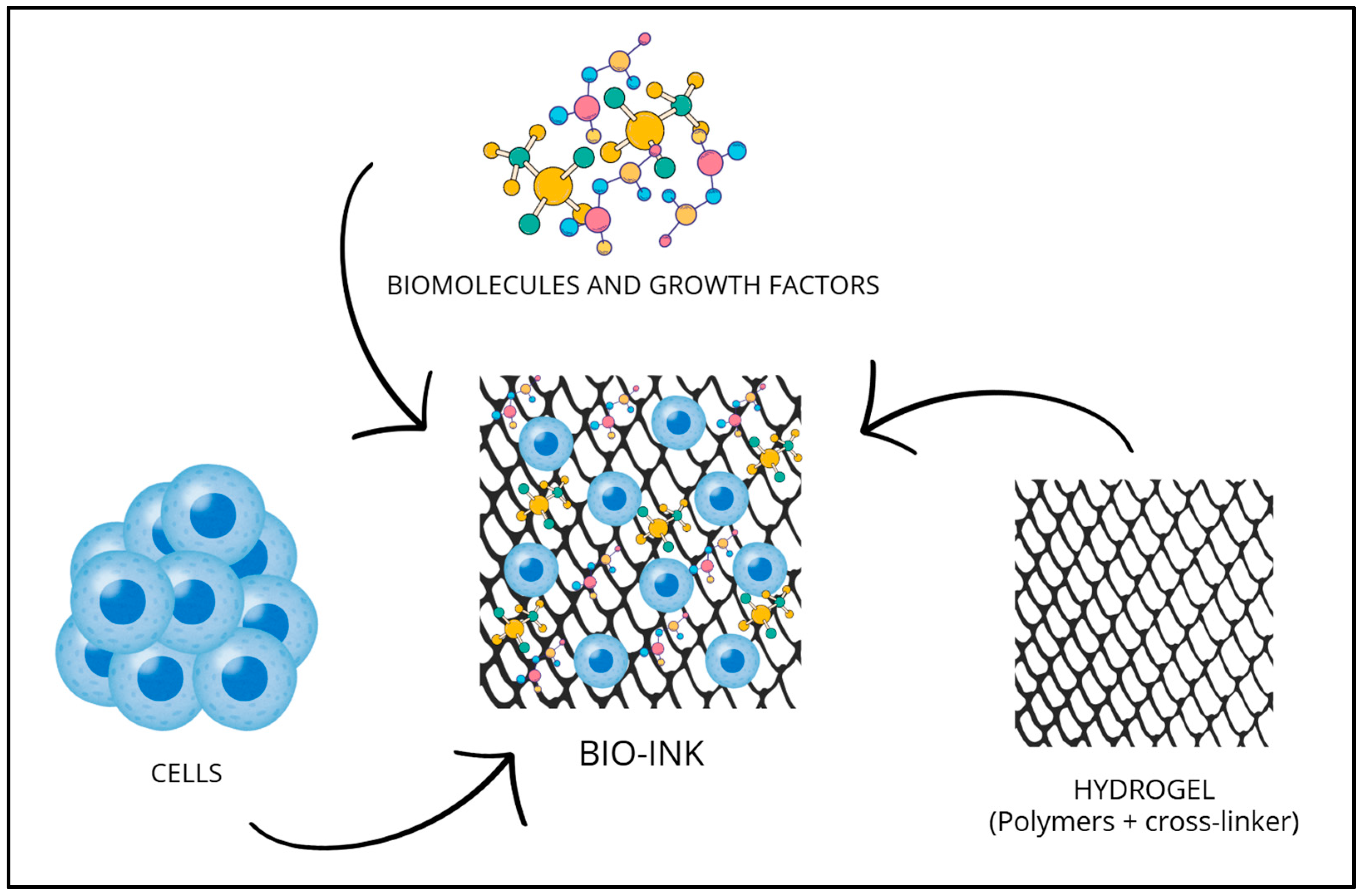 Bioengineering 12 00251 g002