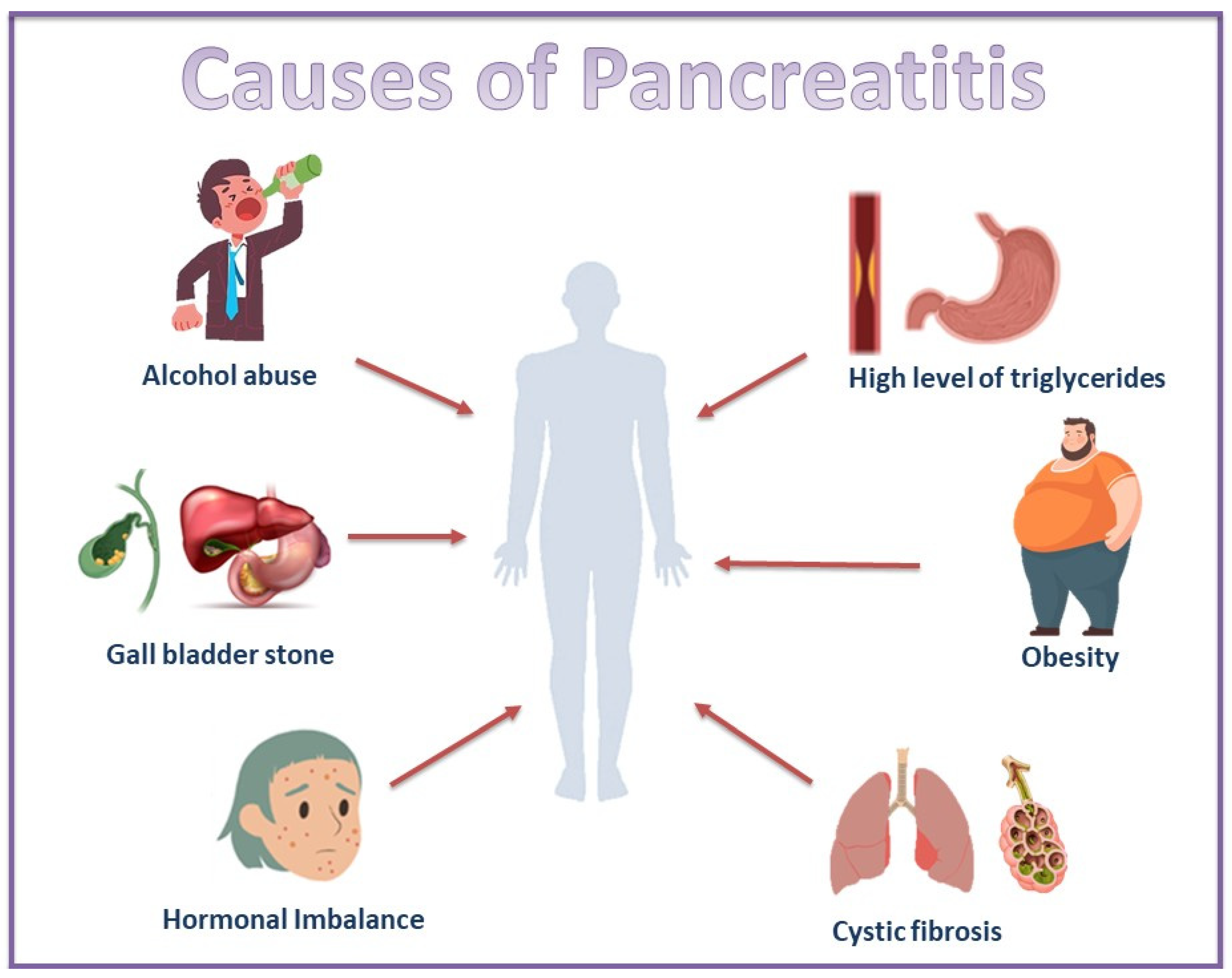 Bioengineering 12 00254 g001