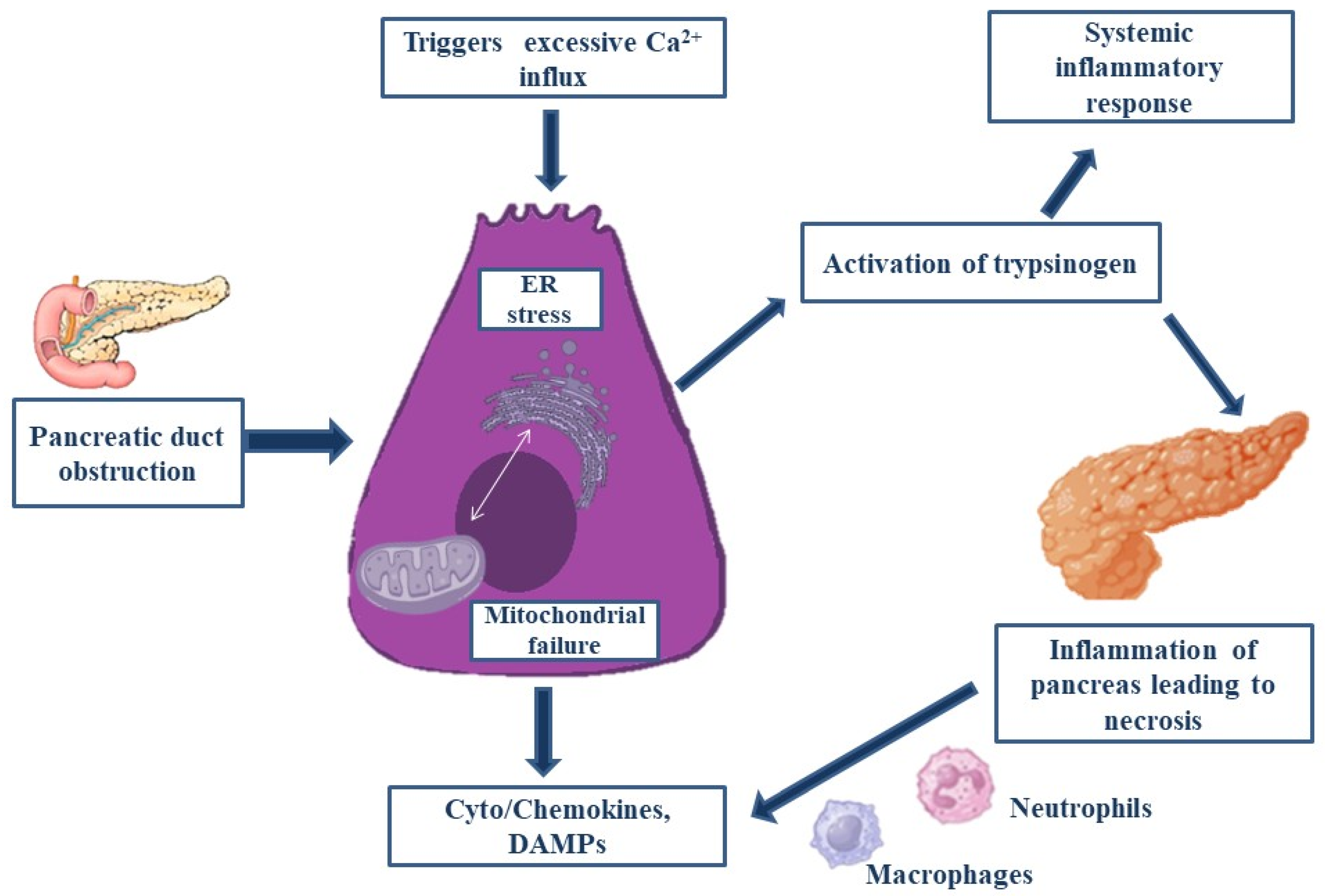 Bioengineering 12 00254 g002