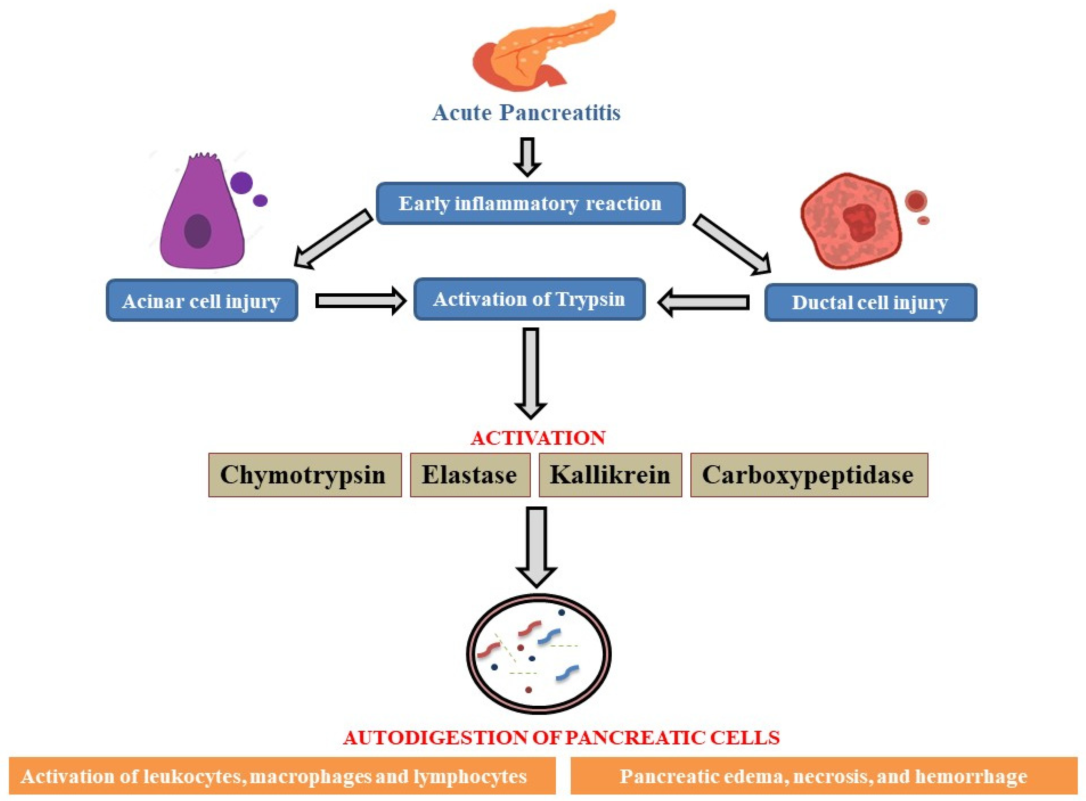 Bioengineering 12 00254 g003