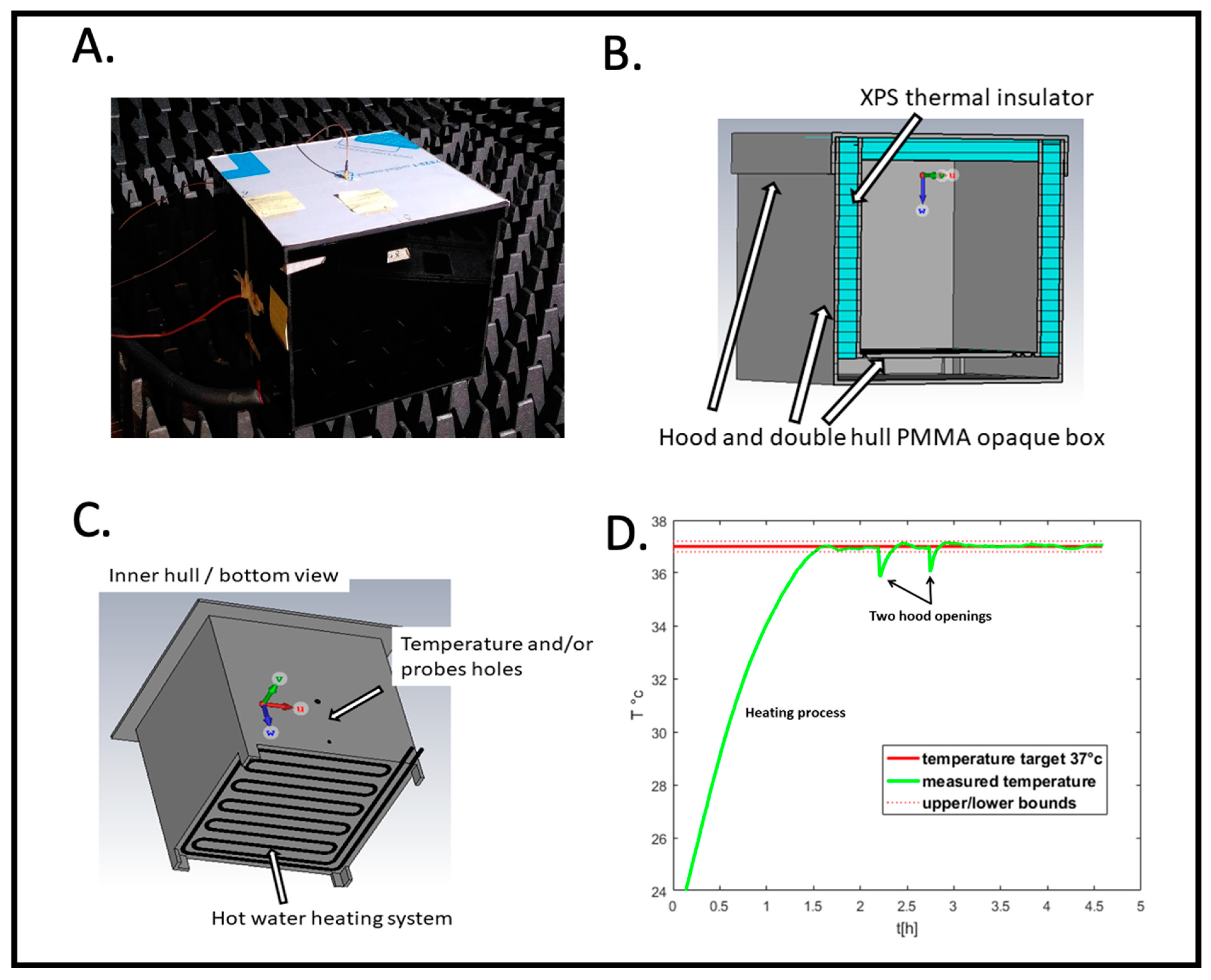 Bioengineering 12 00257 g002