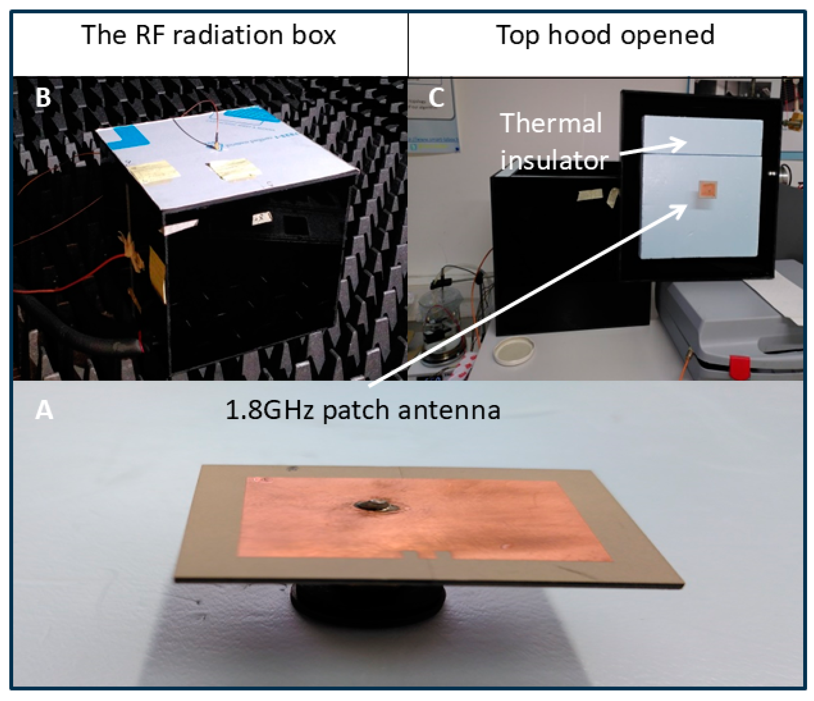 Bioengineering 12 00257 g003