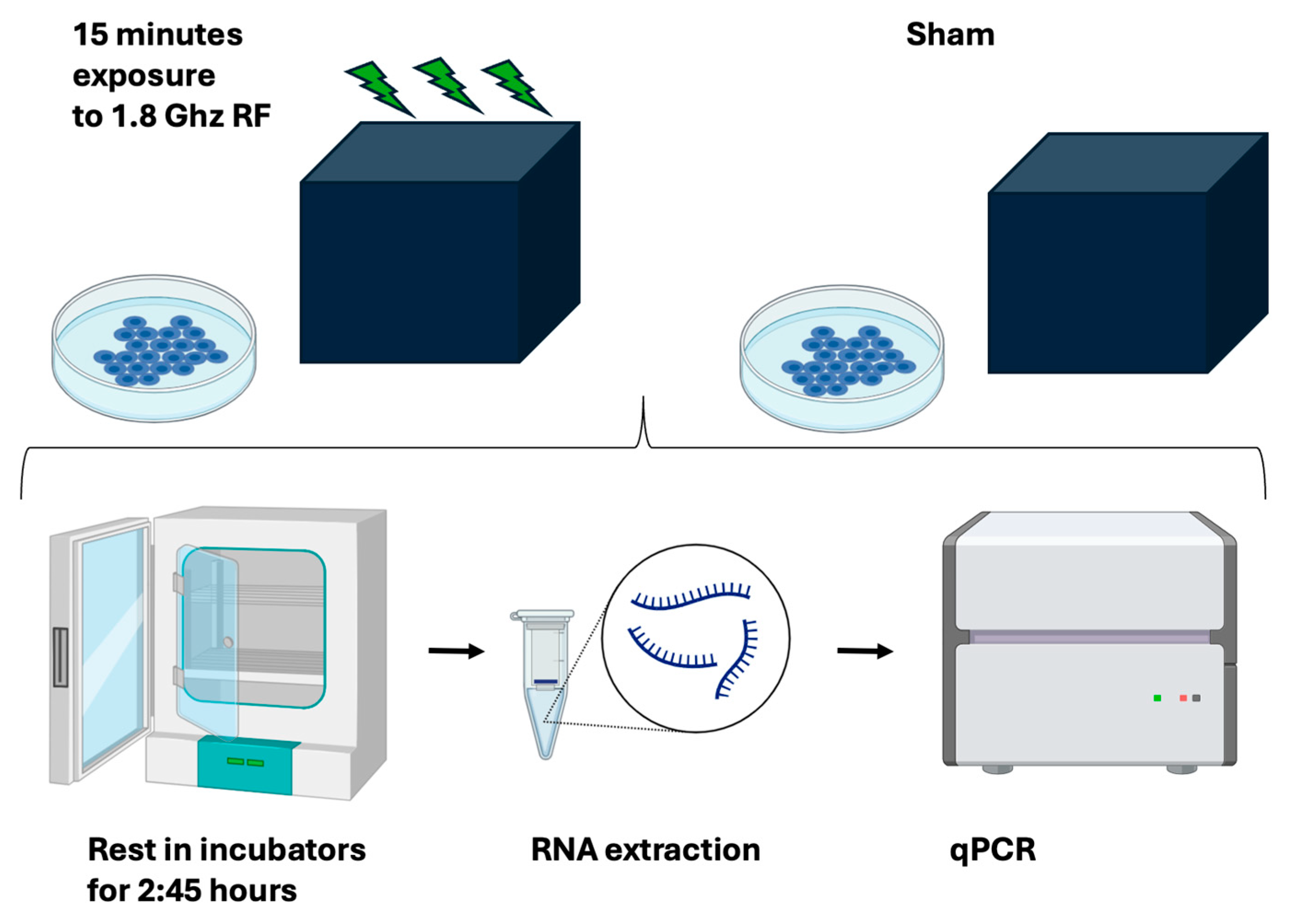 Bioengineering 12 00257 g004