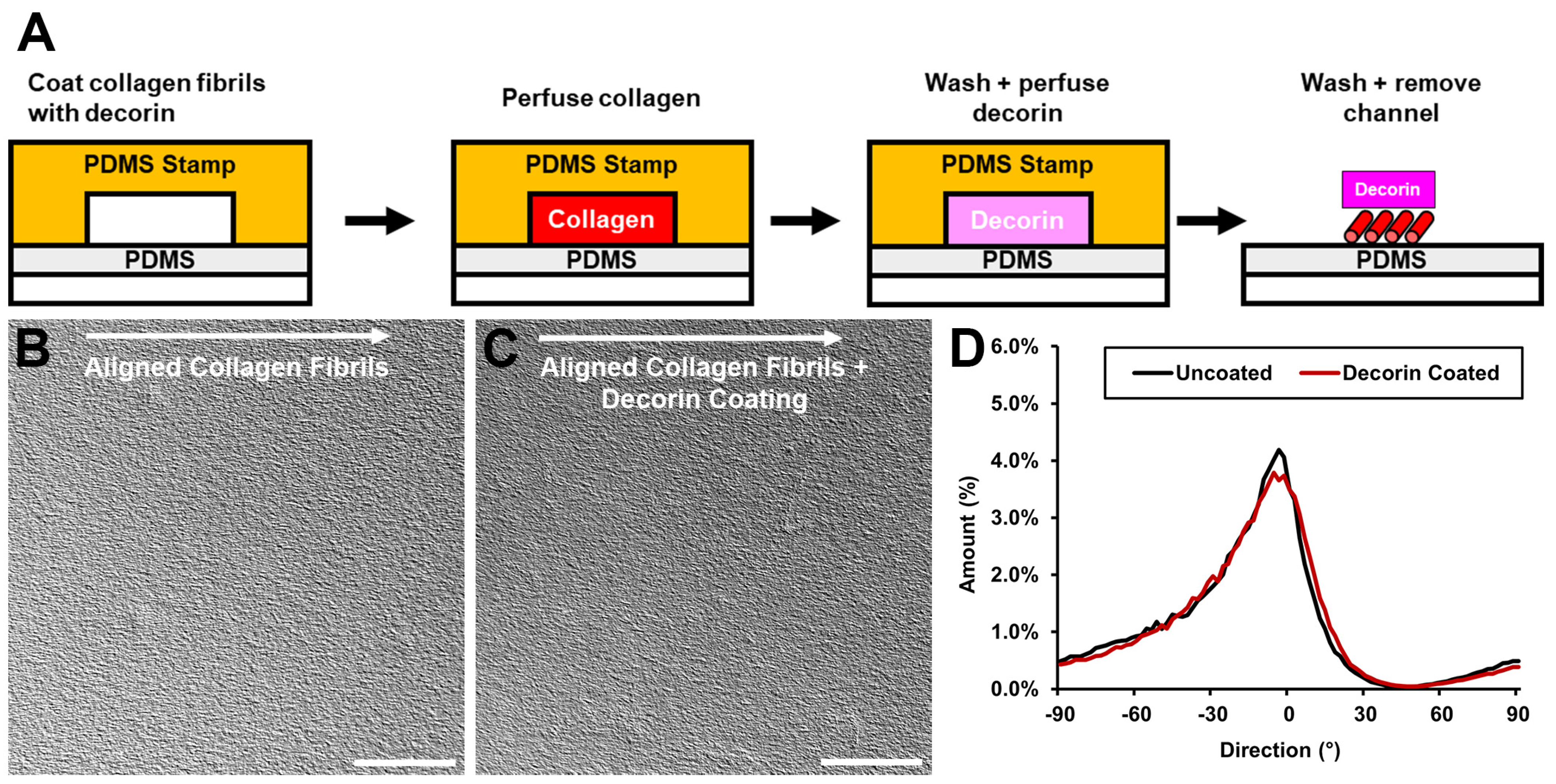 Bioengineering 12 00259 g001