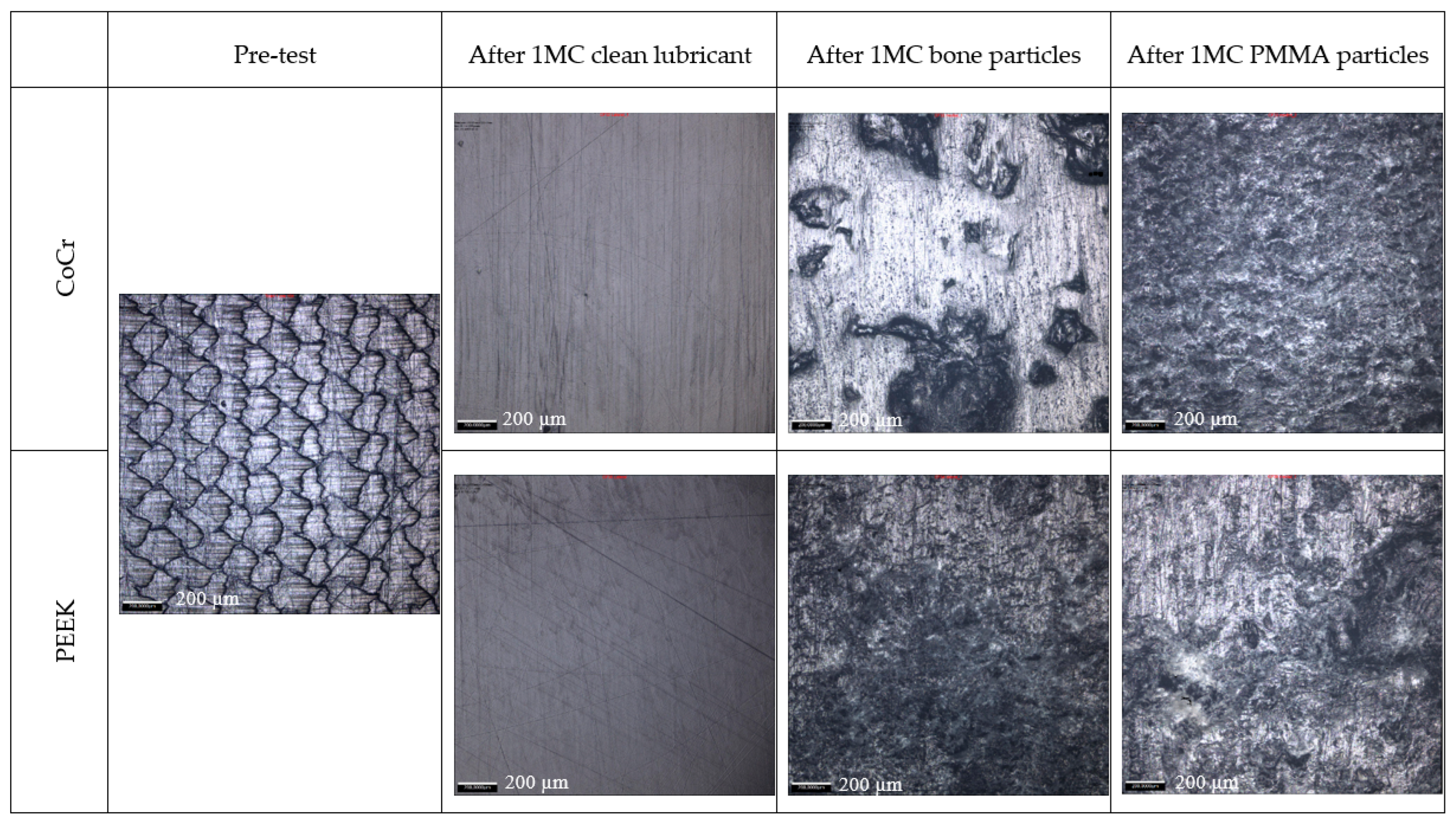 Bioengineering 12 00261 g003 Bioengineering 12 00261 g003