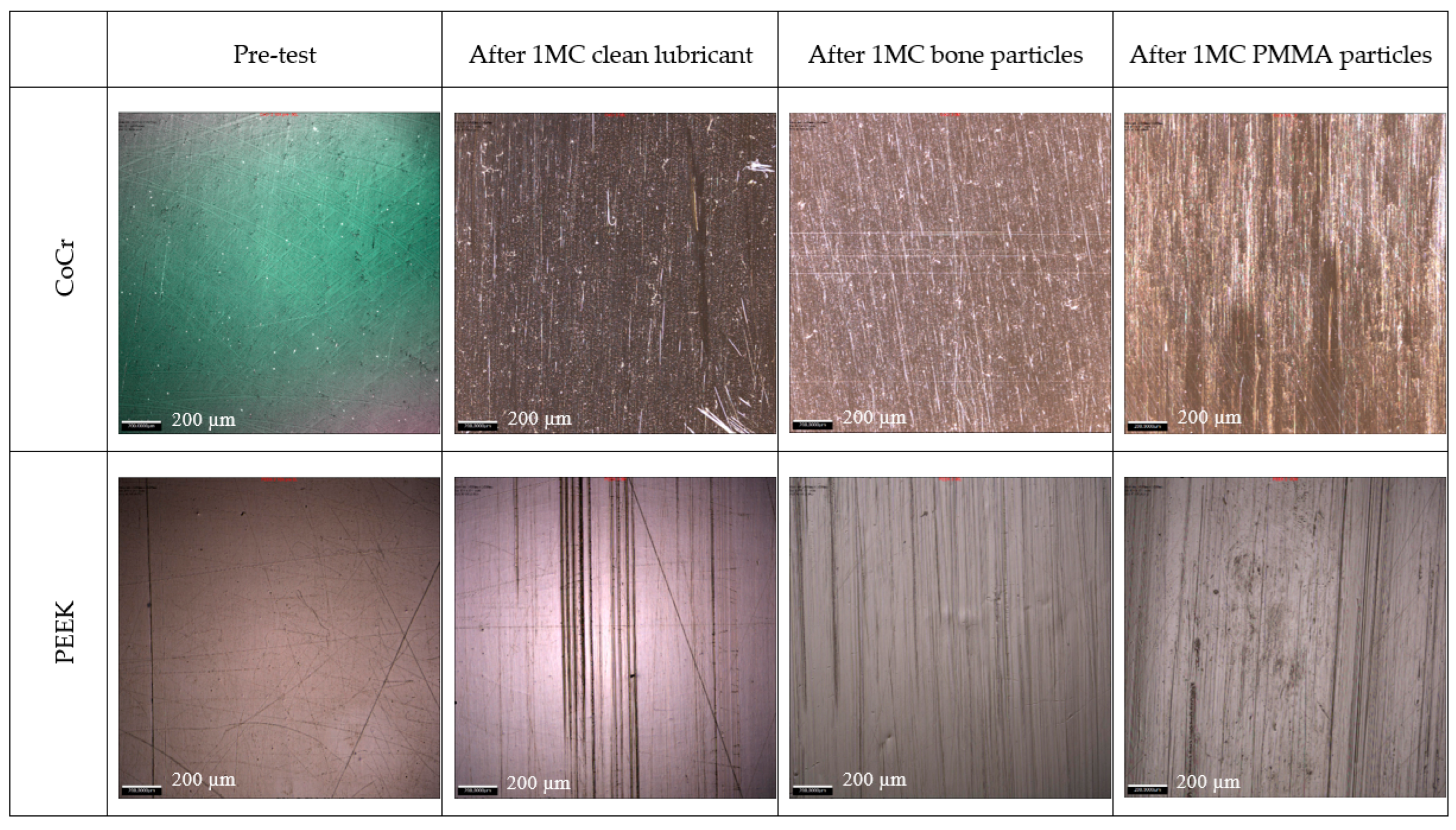 Bioengineering 12 00261 g004 Bioengineering 12 00261 g004