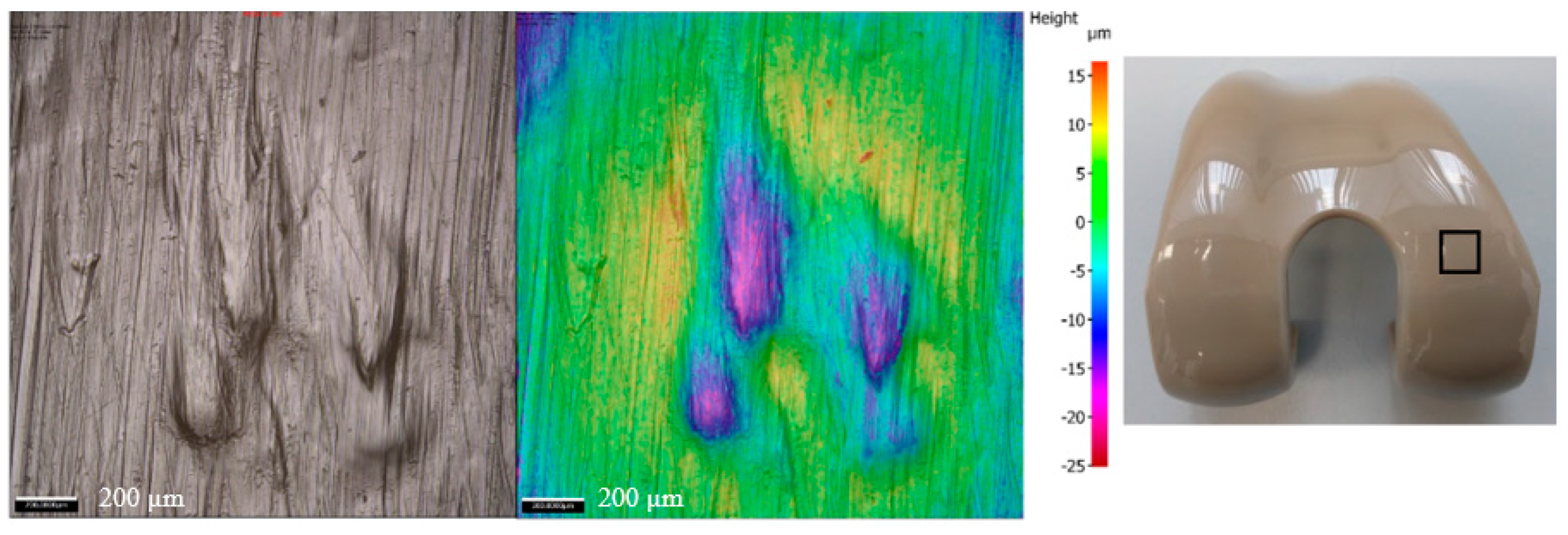 Bioengineering 12 00261 g005 Bioengineering 12 00261 g005