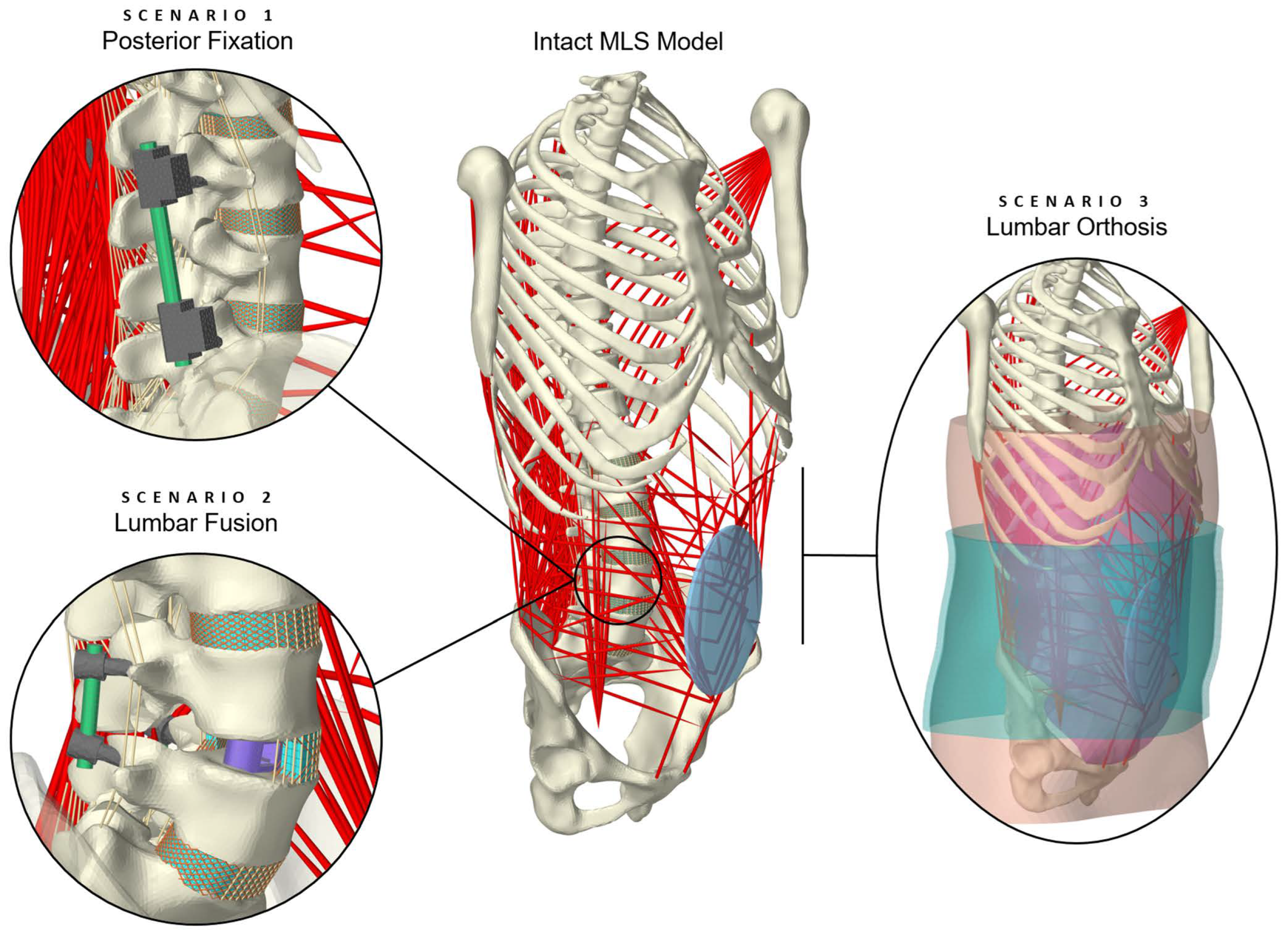 Bioengineering 12 00263 g001
