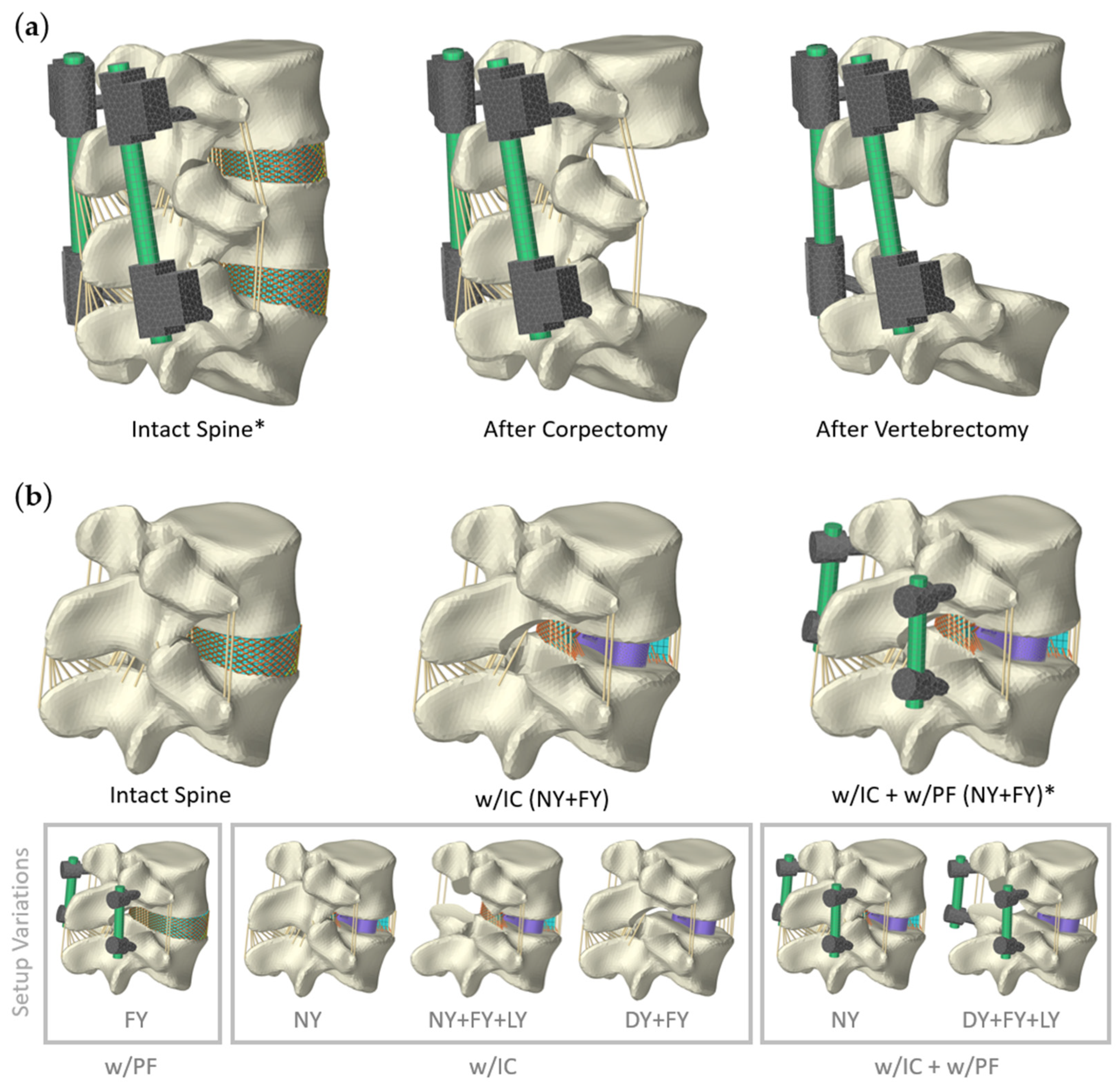 Bioengineering 12 00263 g002