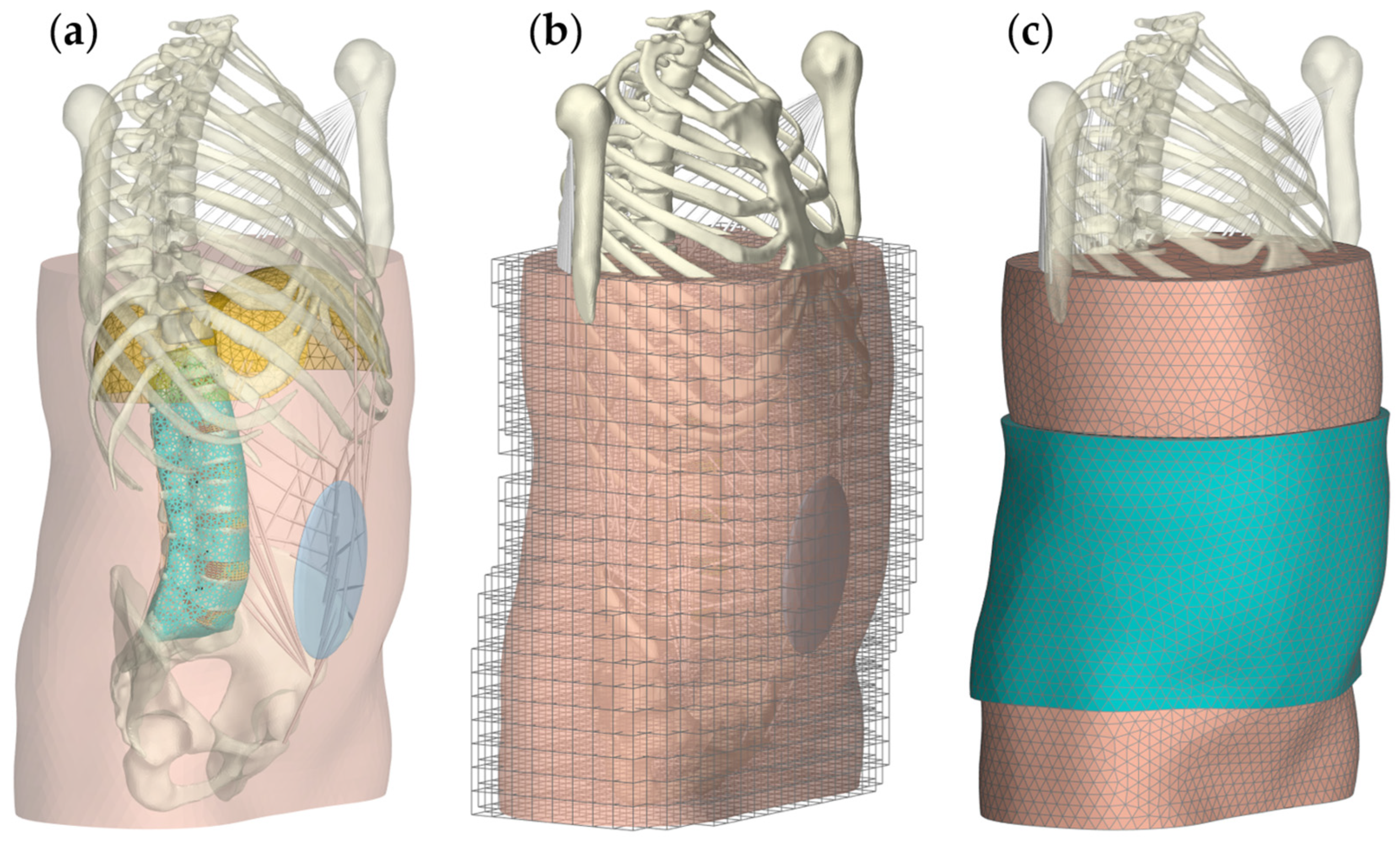 Bioengineering 12 00263 g005