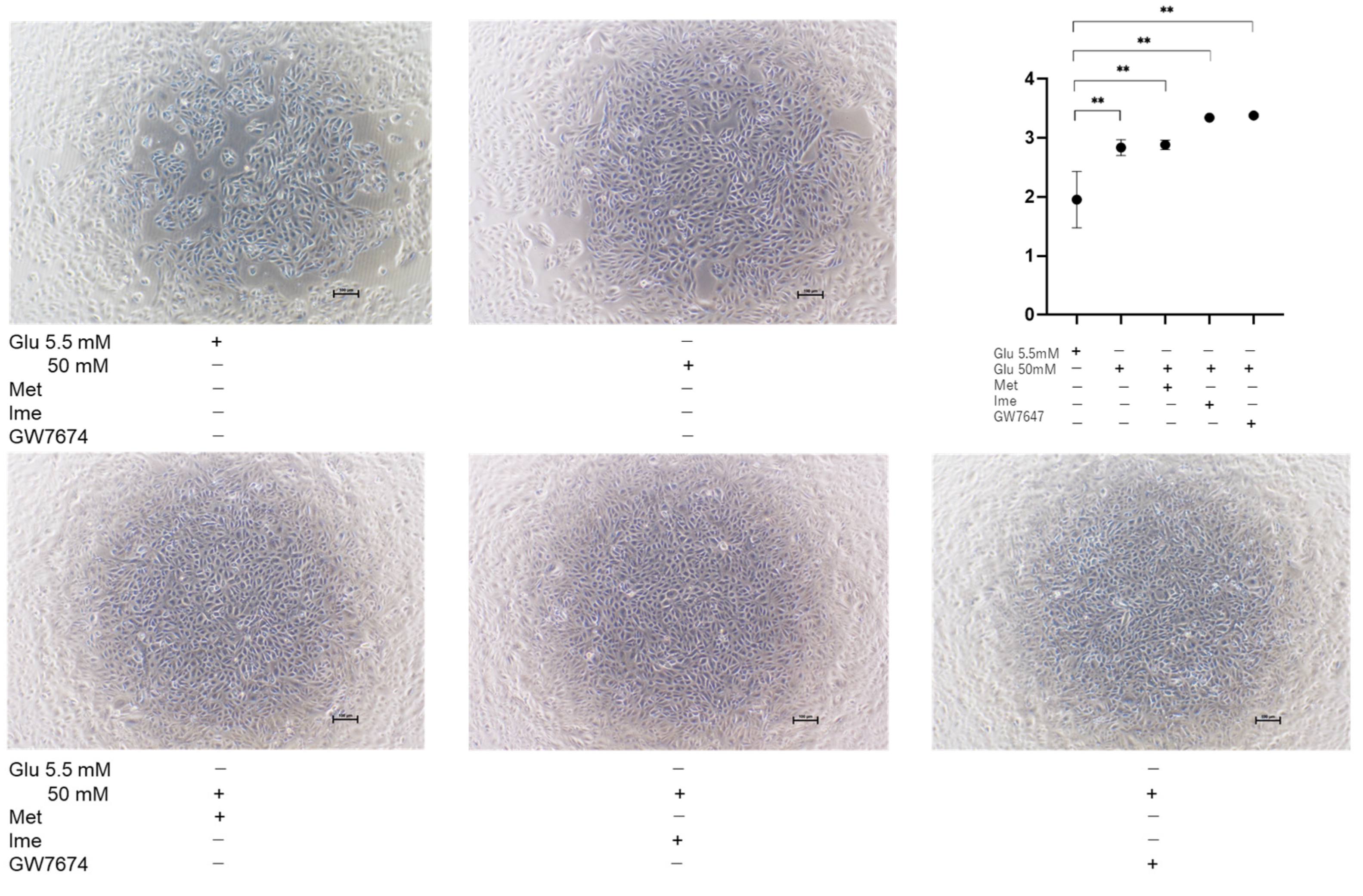 Bioengineering 12 00265 g006