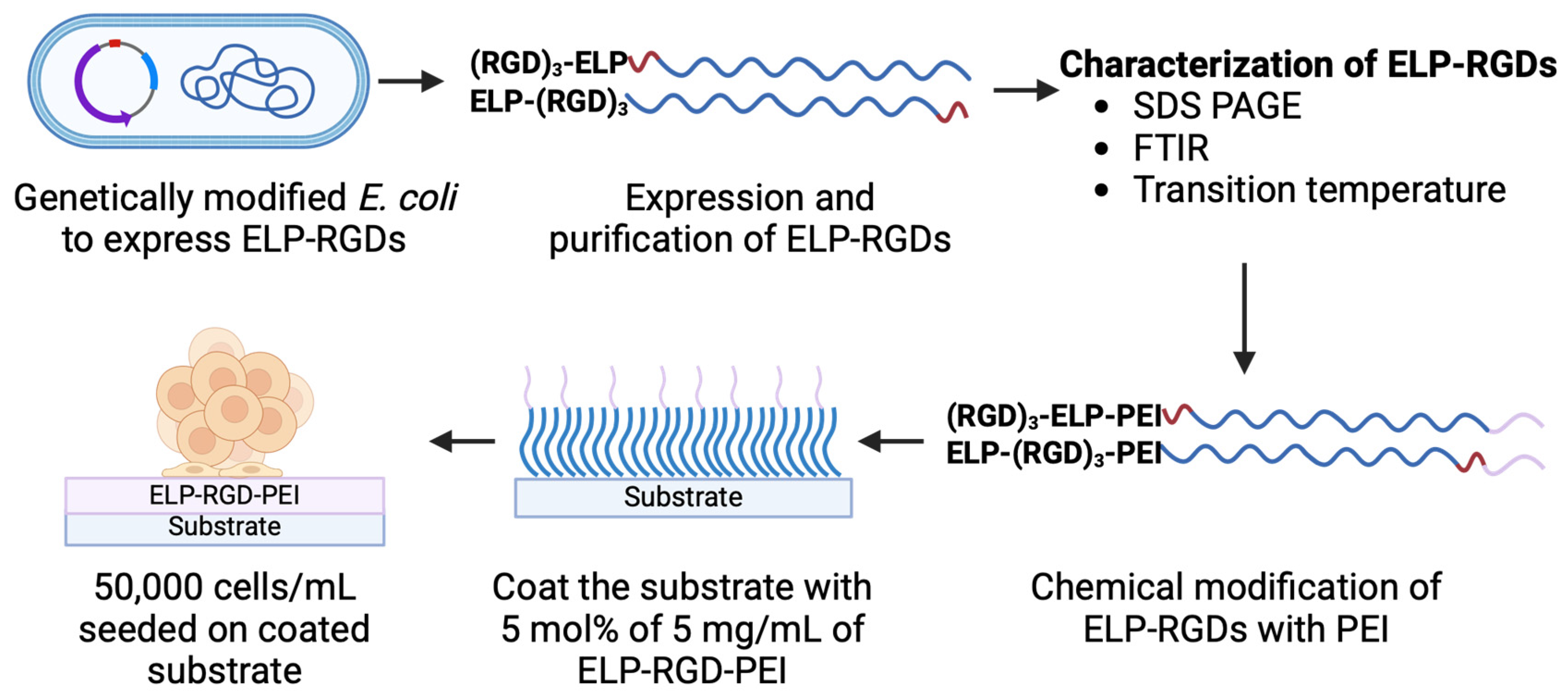Bioengineering 12 00266 g001