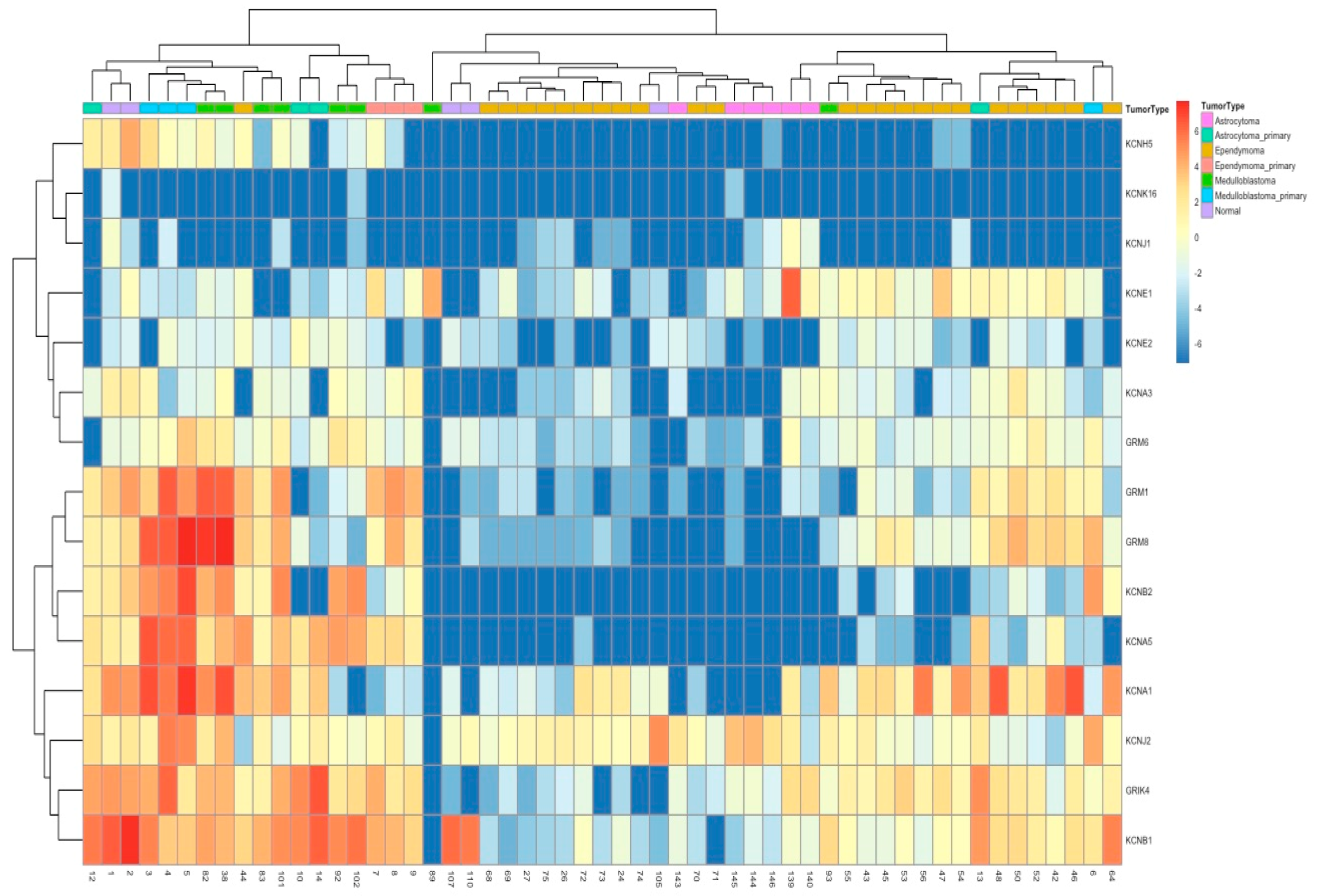 Bioengineering 12 00268 g001