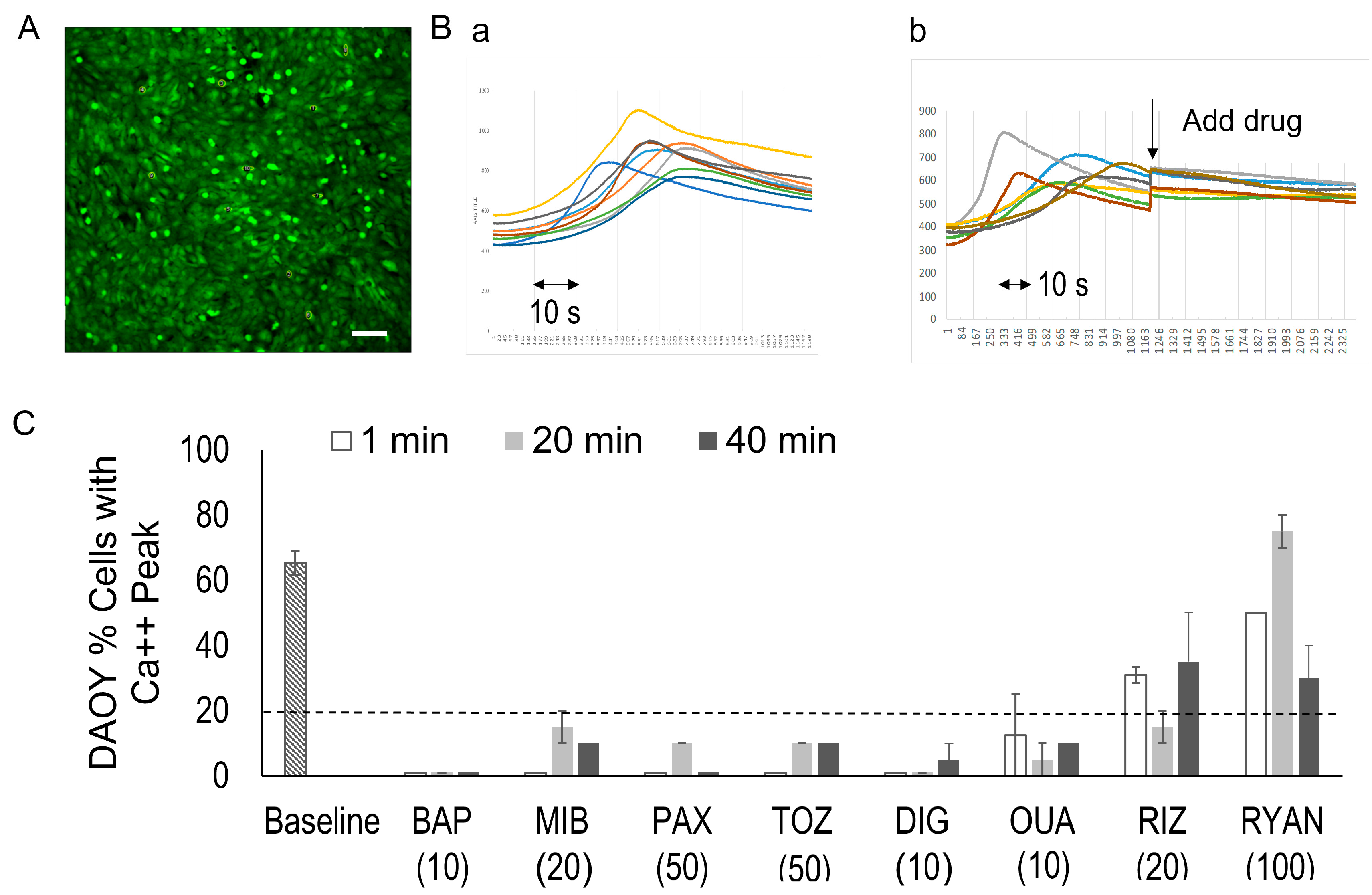Bioengineering 12 00268 g003