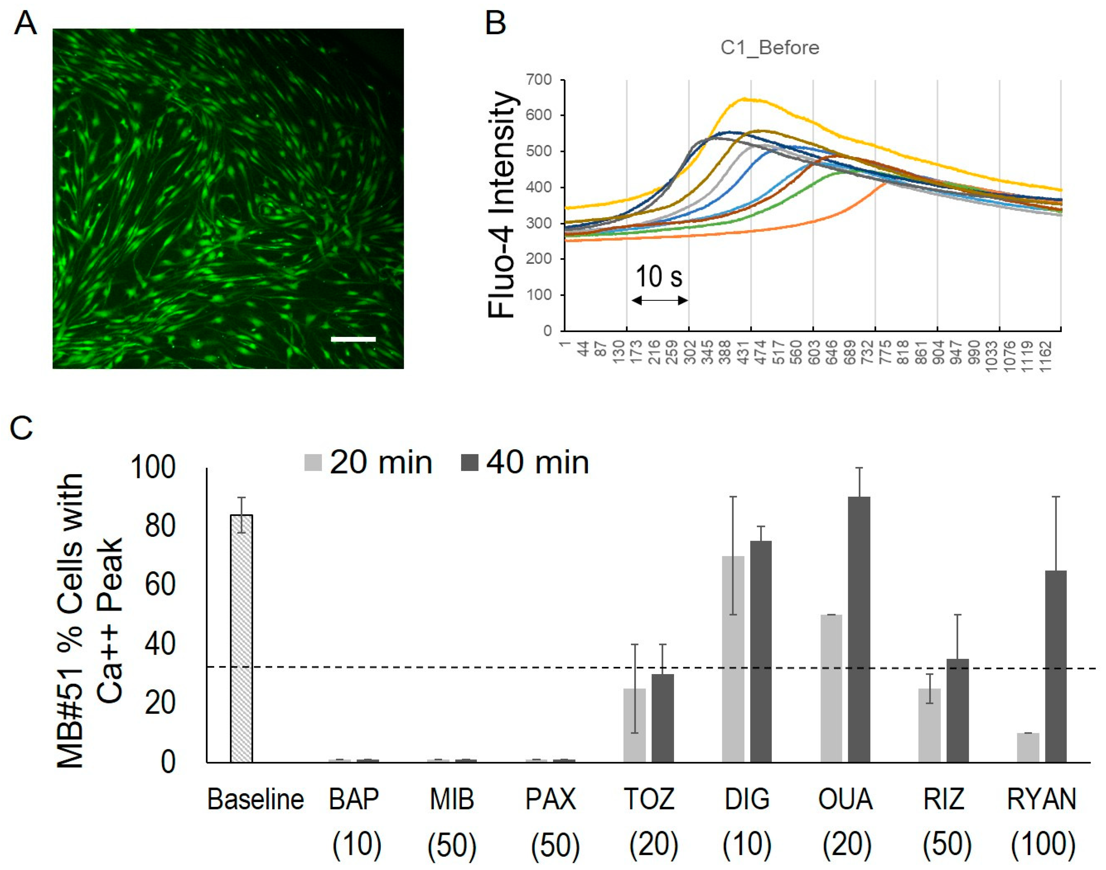 Bioengineering 12 00268 g005