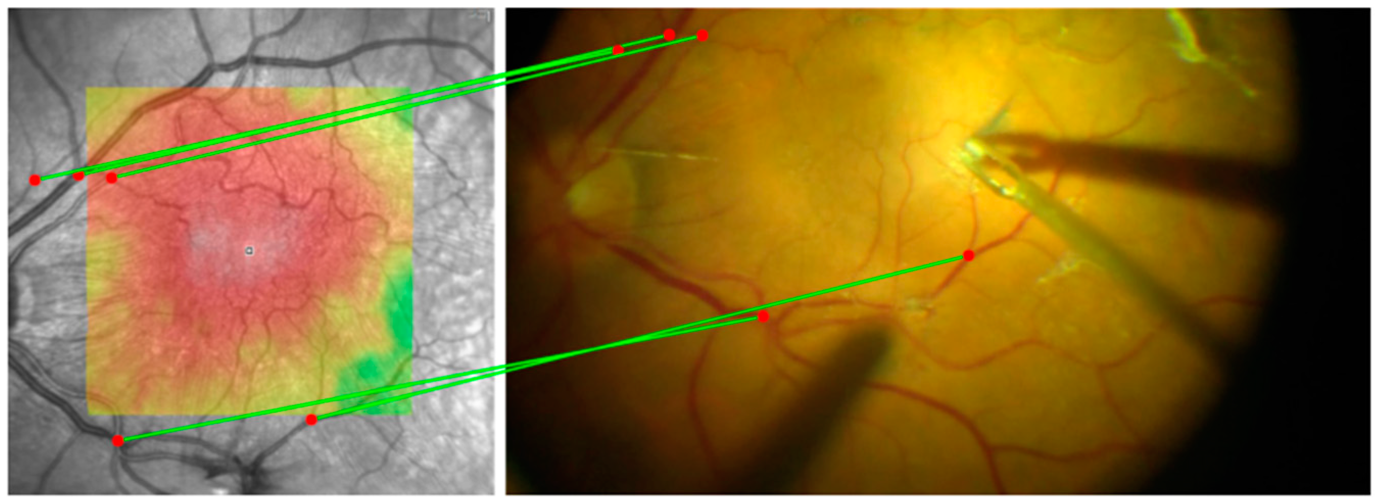 Bioengineering 12 00271 g001