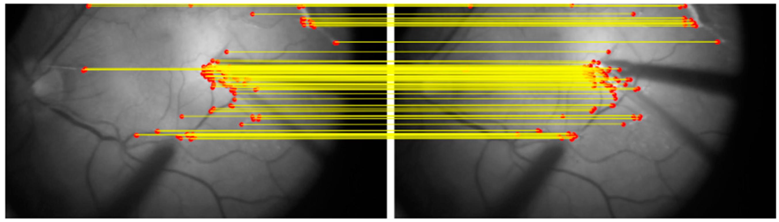 Bioengineering 12 00271 g002