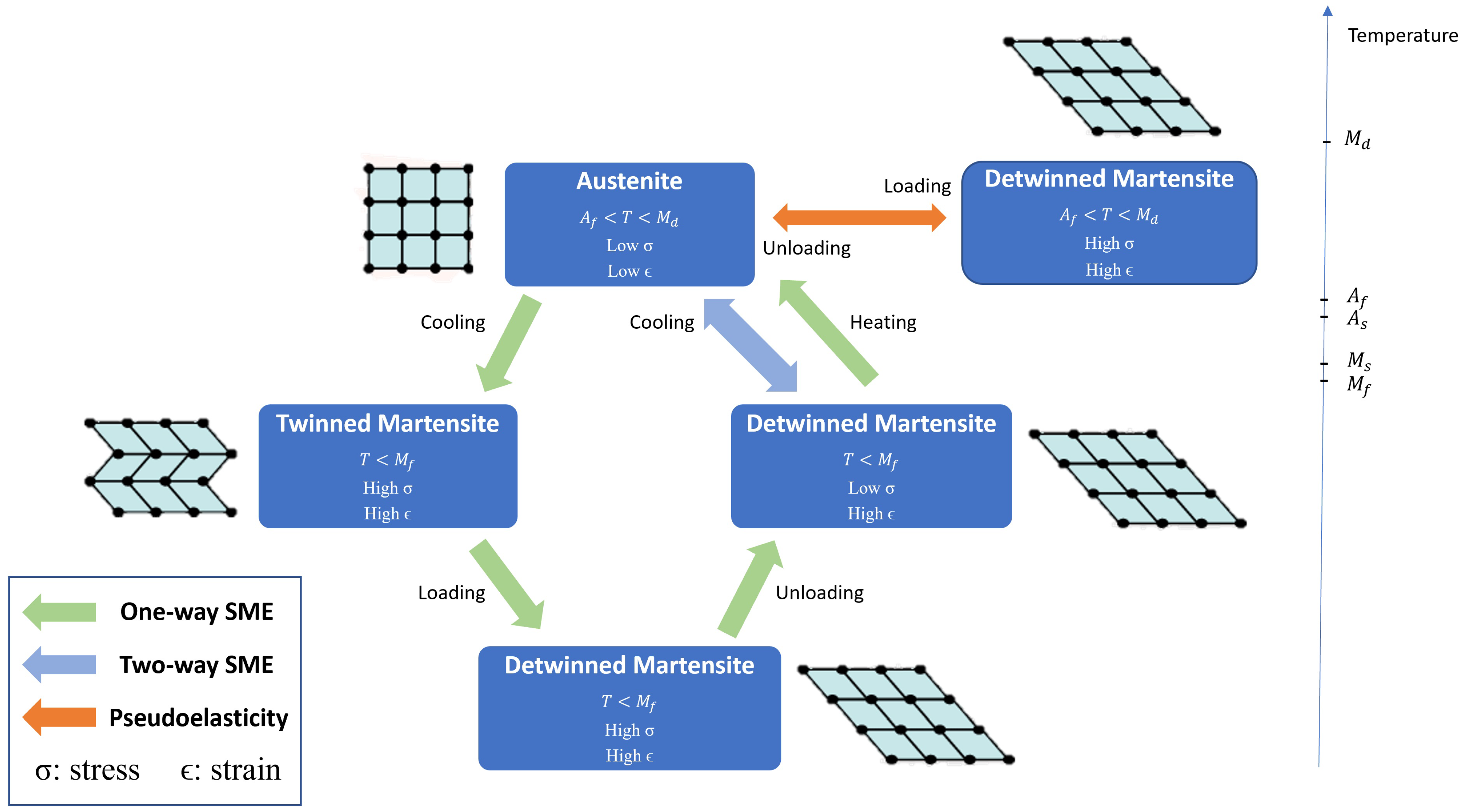 Bioengineering 12 00276 g002 Bioengineering 12 00276 g002