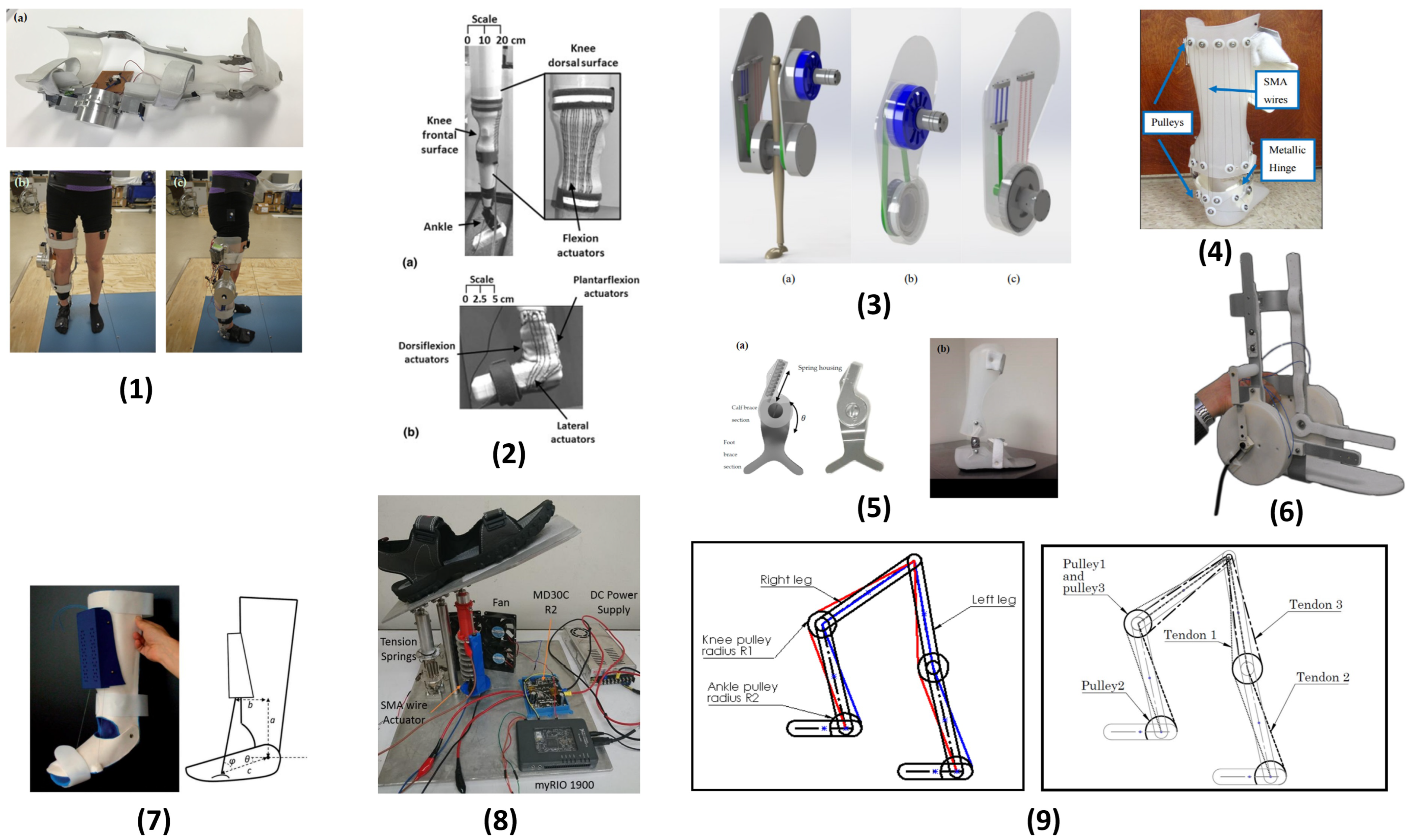 Bioengineering 12 00276 g005 Bioengineering 12 00276 g005