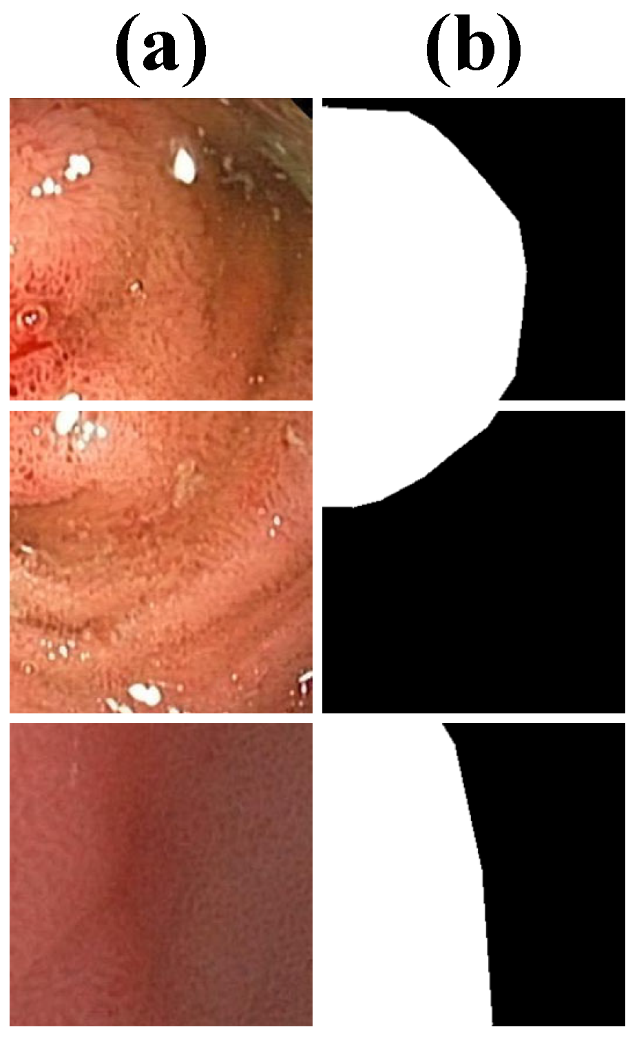 Bioengineering 12 00277 g002