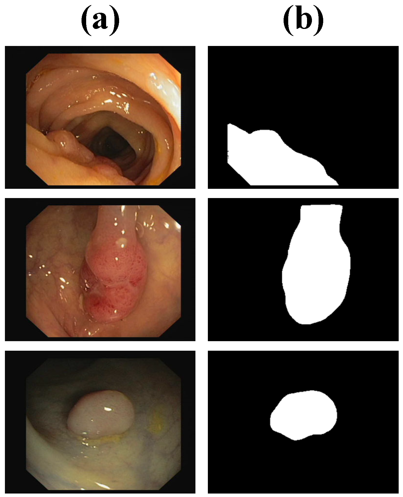 Bioengineering 12 00277 g003