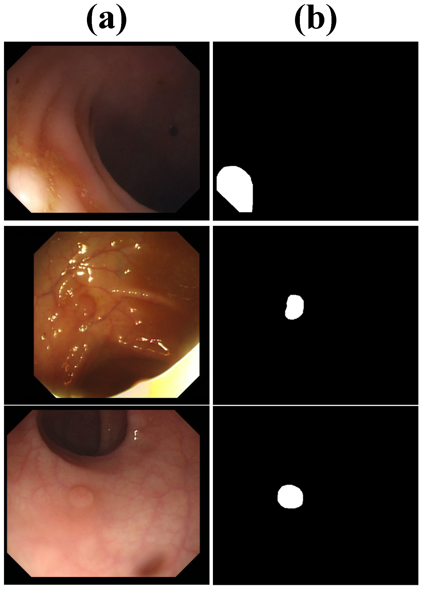 Bioengineering 12 00277 g004