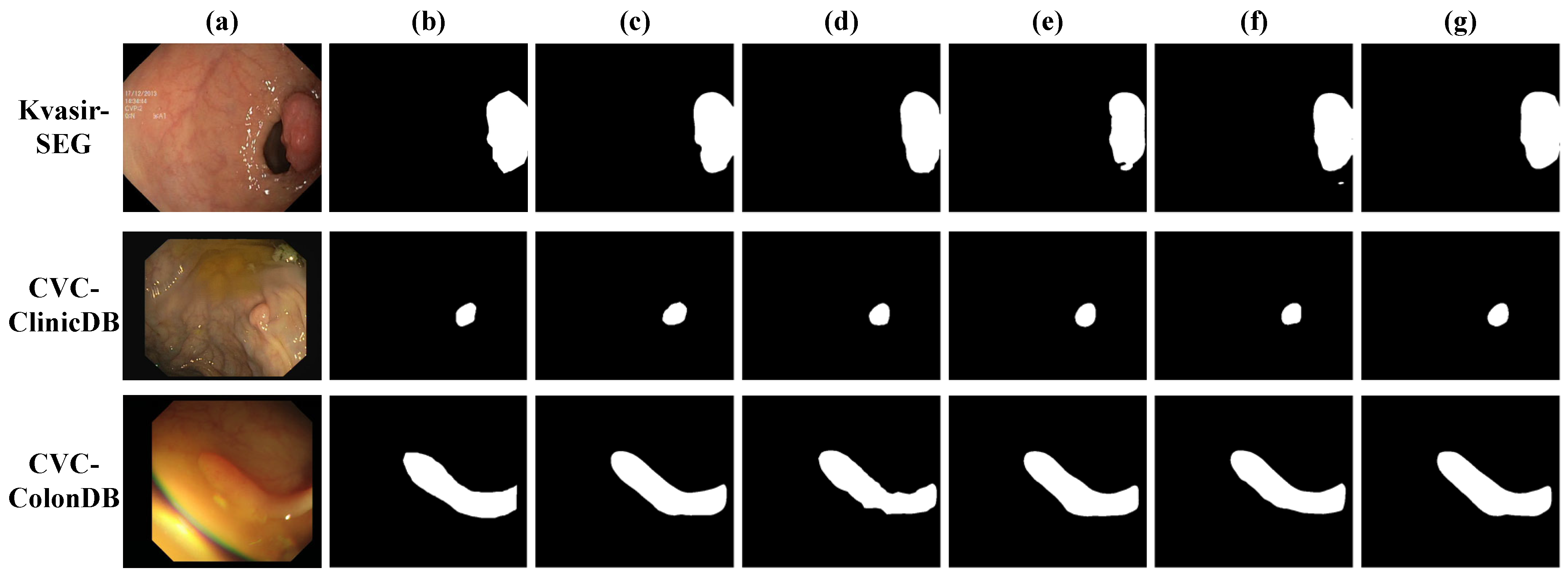 Bioengineering 12 00277 g005