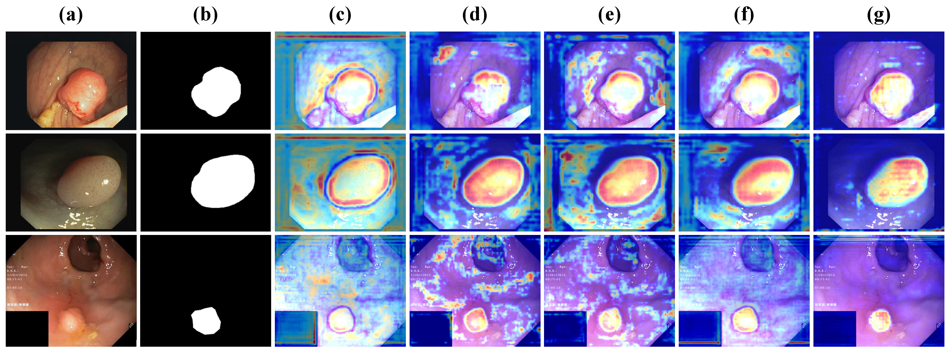 Bioengineering 12 00277 g006