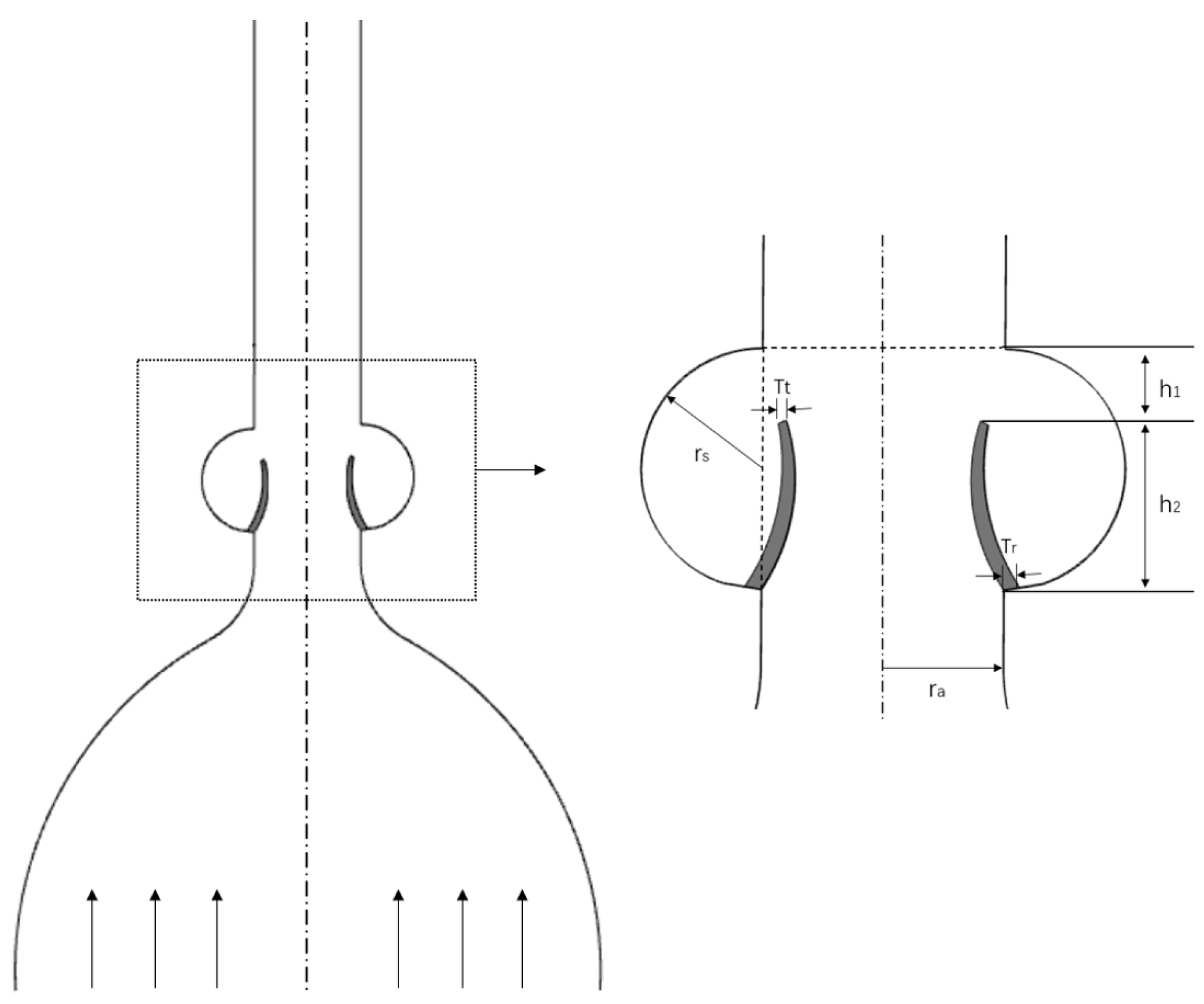 Bioengineering 12 00279 g001