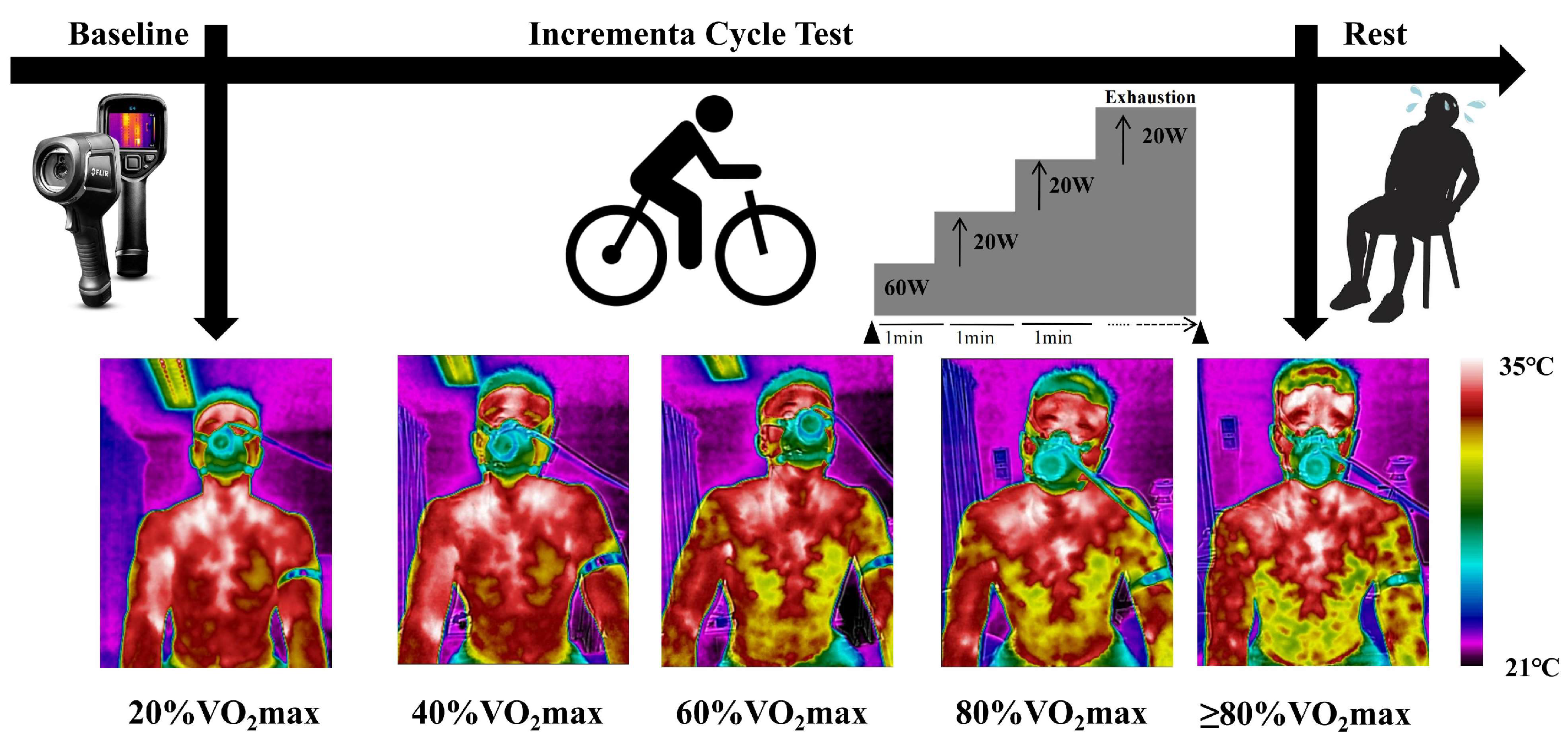 Bioengineering 12 00280 g002