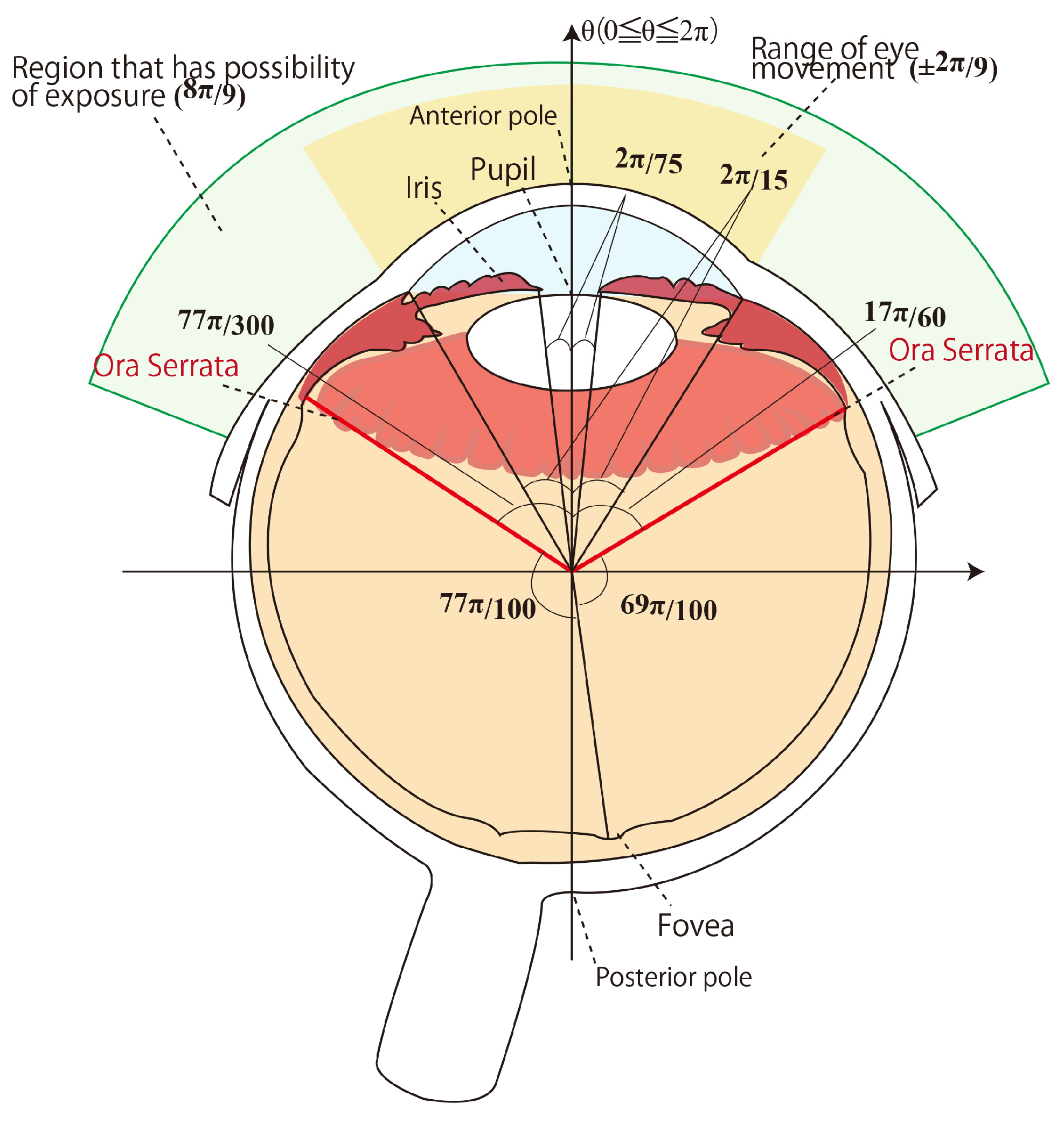 Bioengineering 12 00281 g001
