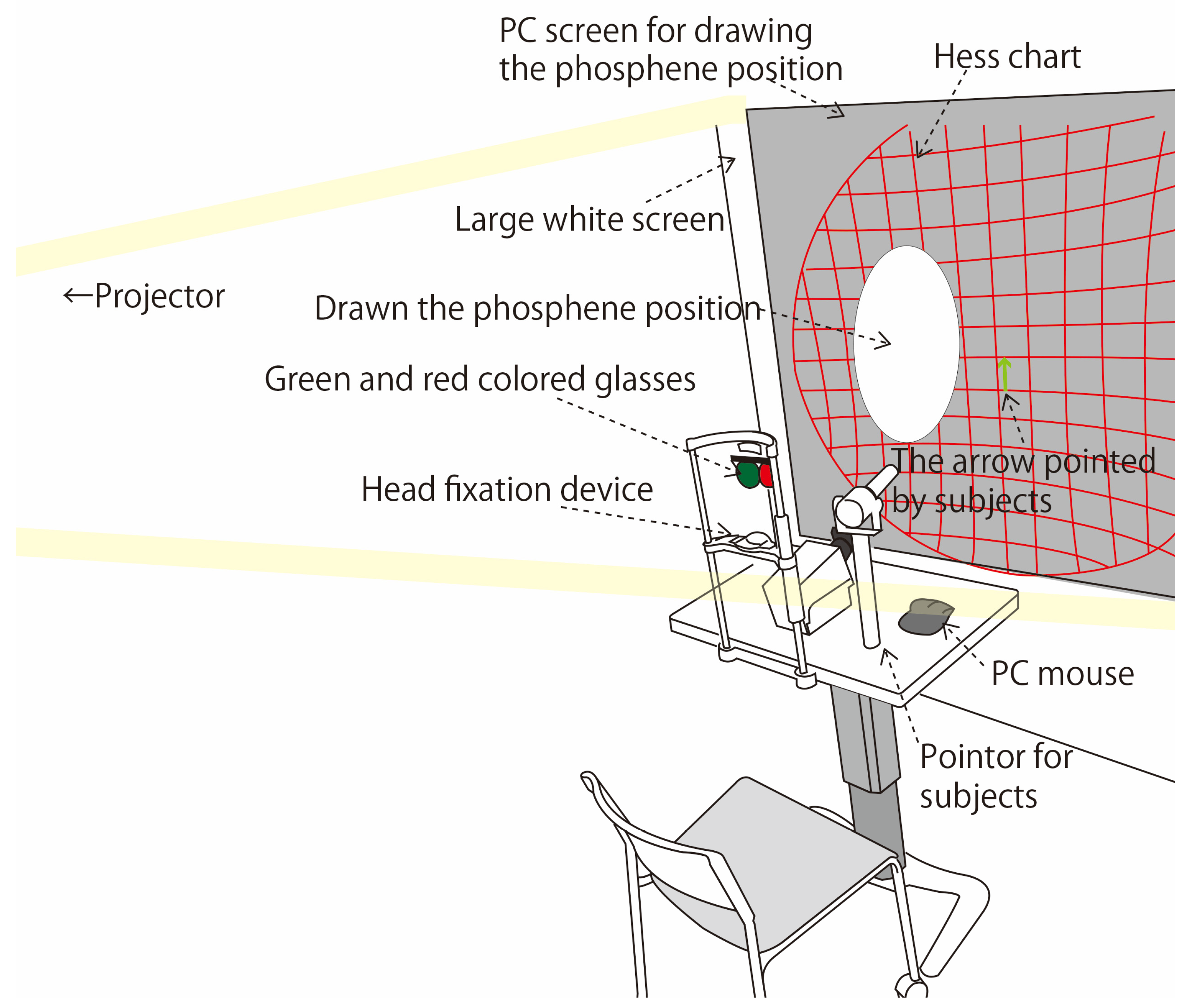 Bioengineering 12 00281 g002