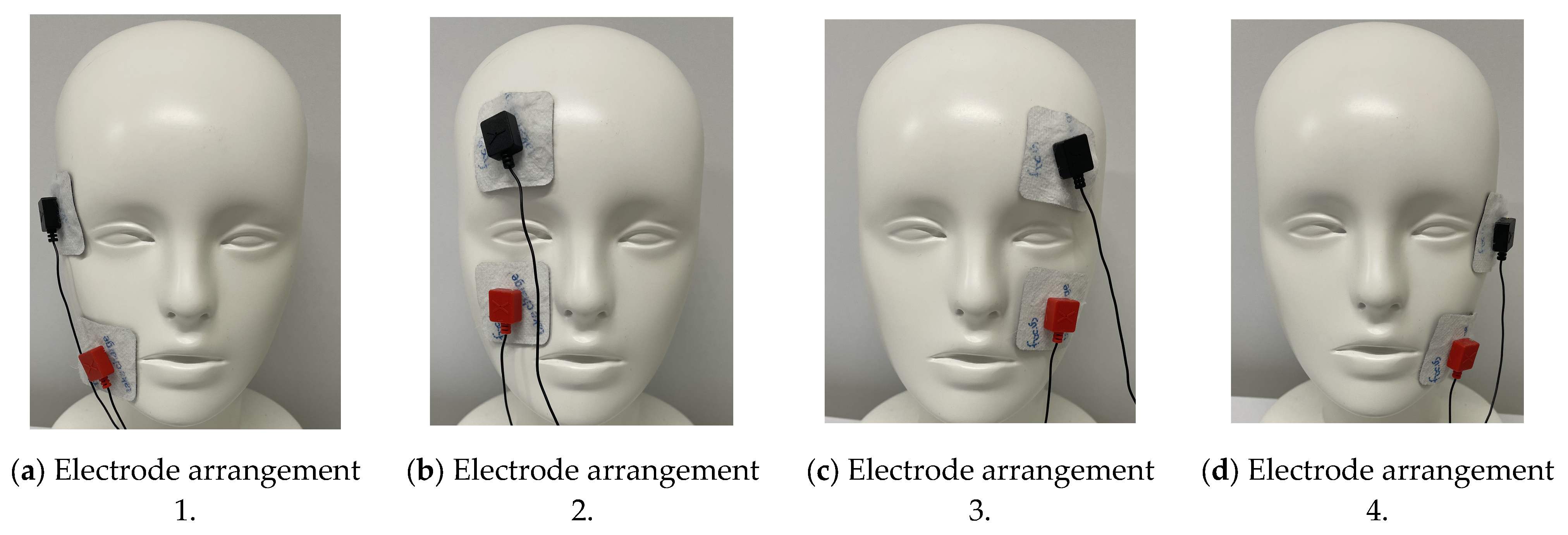 Bioengineering 12 00281 g004