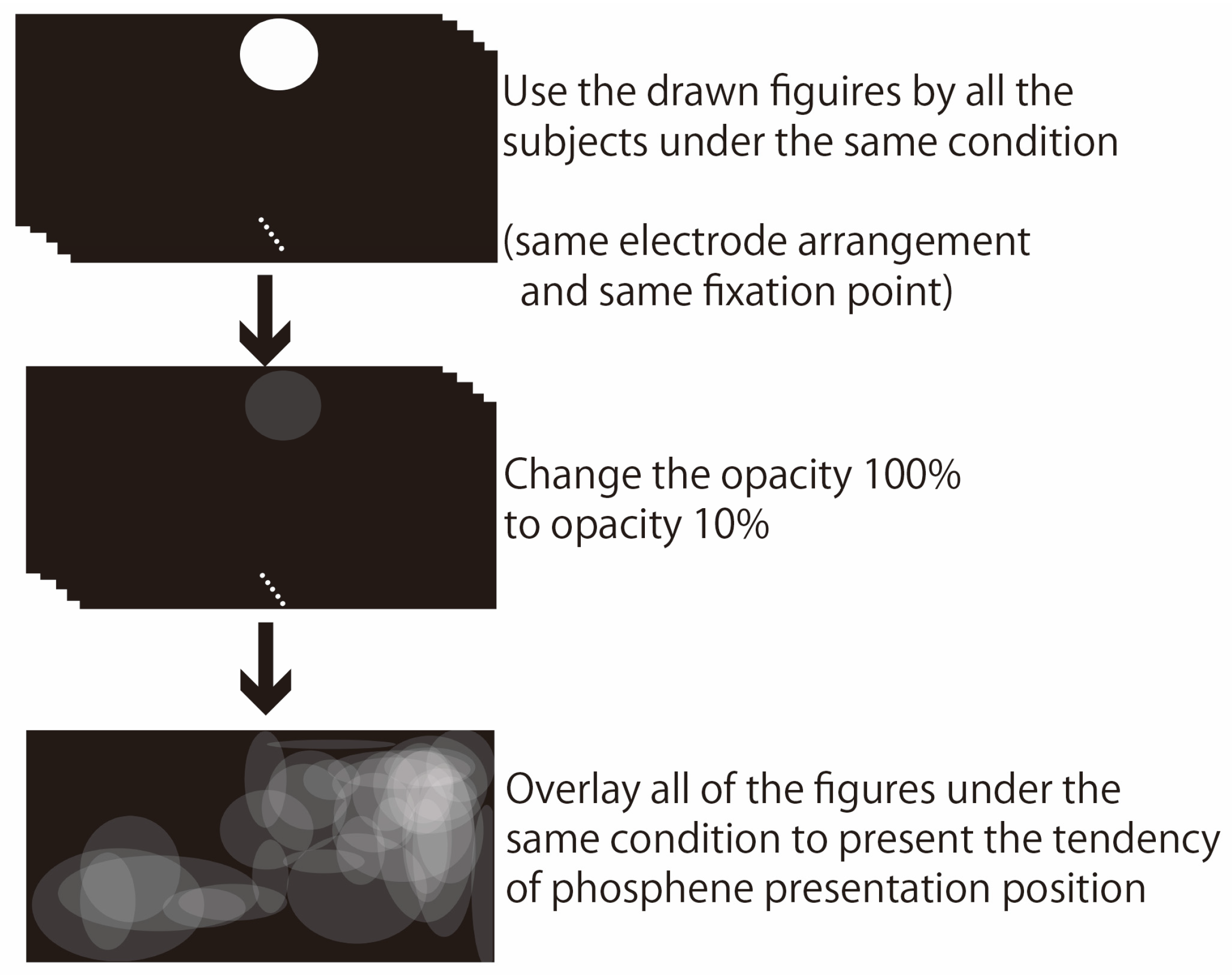 Bioengineering 12 00281 g005