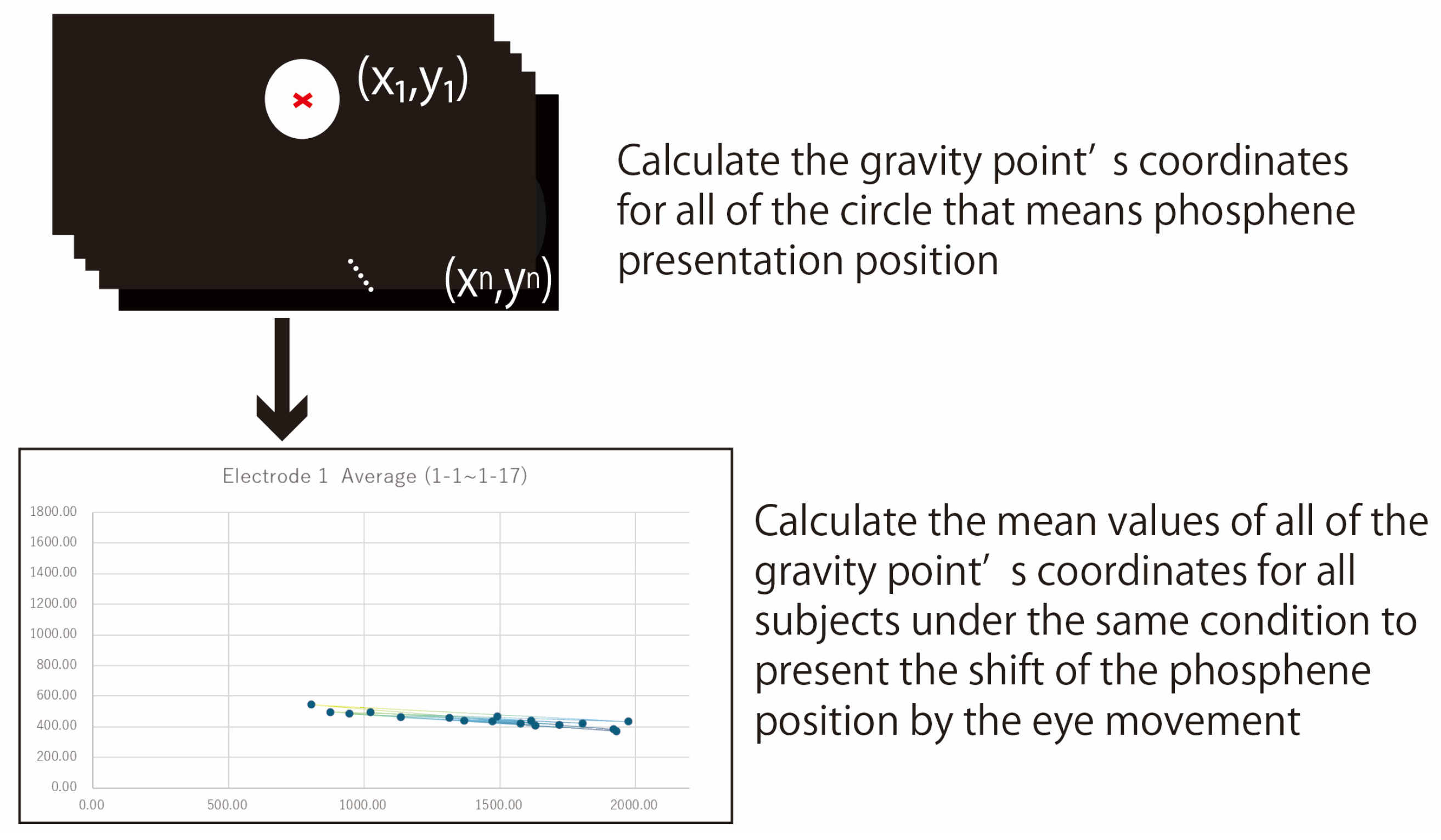 Bioengineering 12 00281 g006