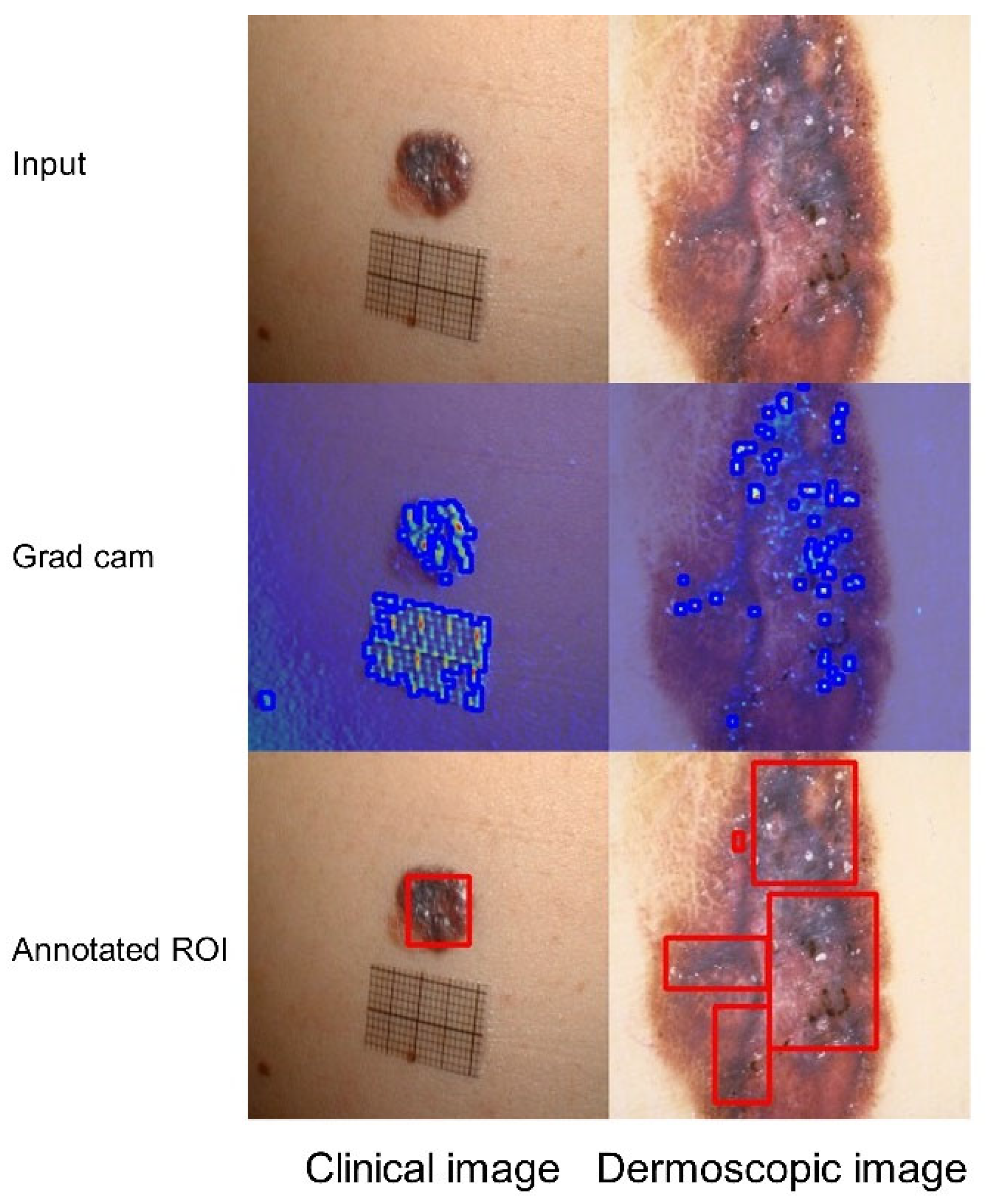 Bioengineering 12 00282 g010