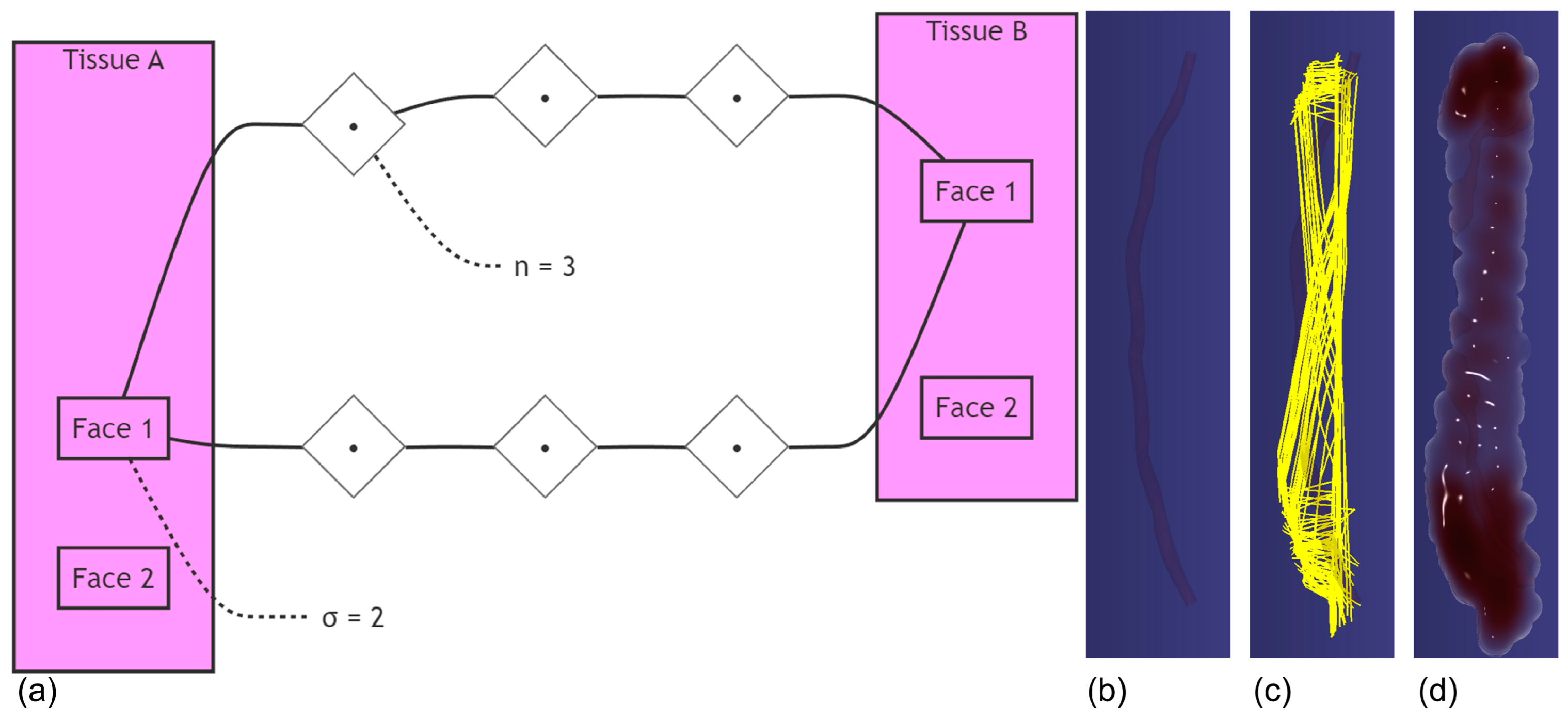 Bioengineering 12 00285 g007