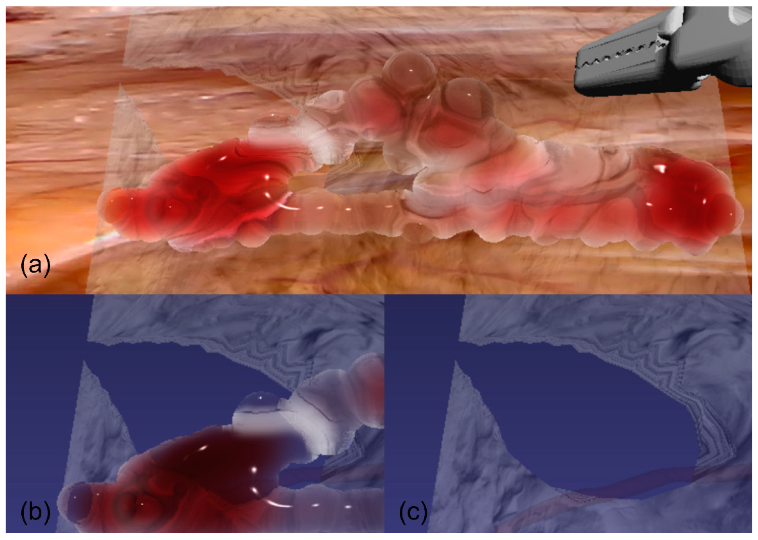 Bioengineering 12 00285 g009
