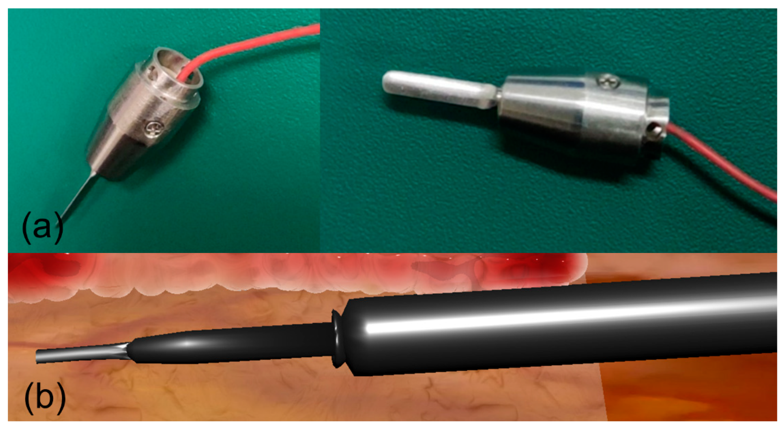 Bioengineering 12 00285 g012