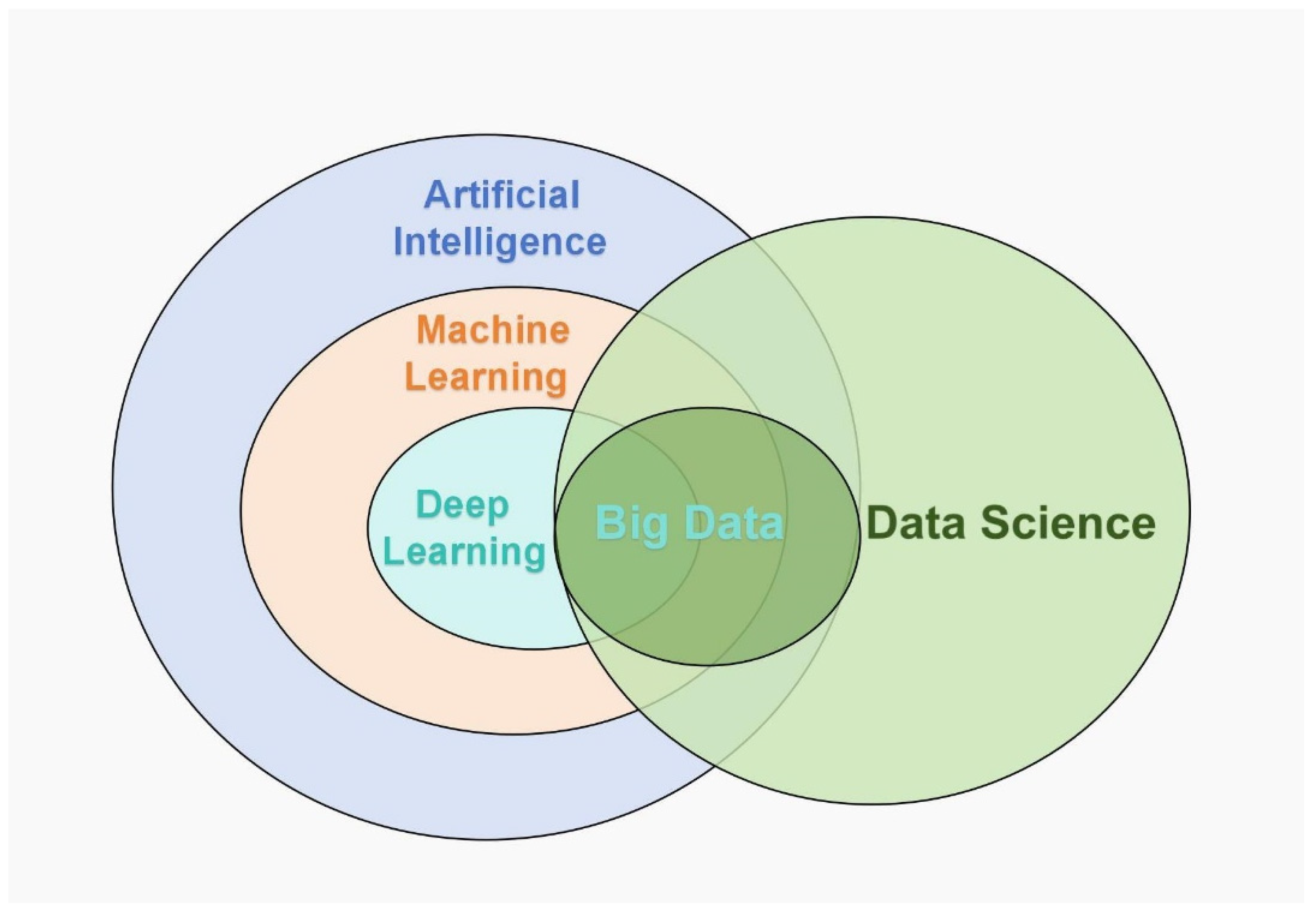 Bioengineering 12 00288 g001