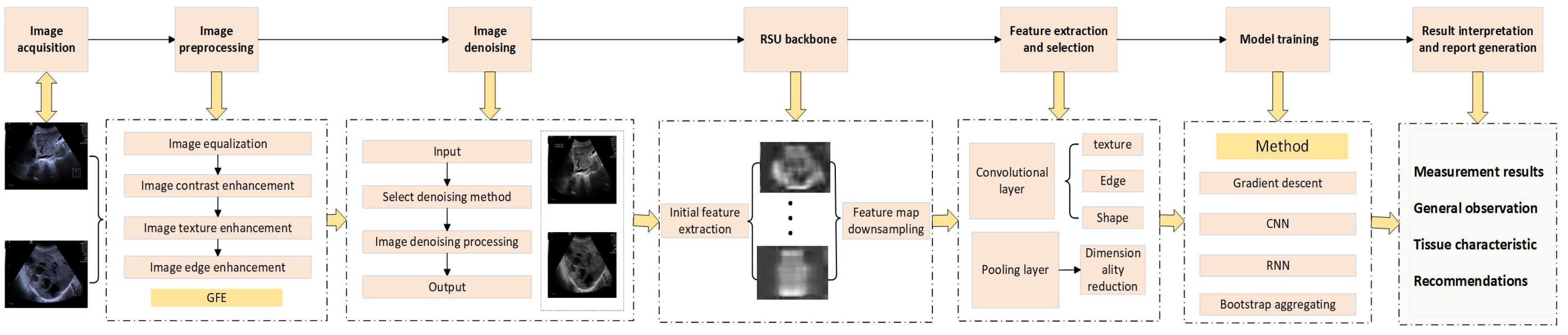 Bioengineering 12 00288 g002