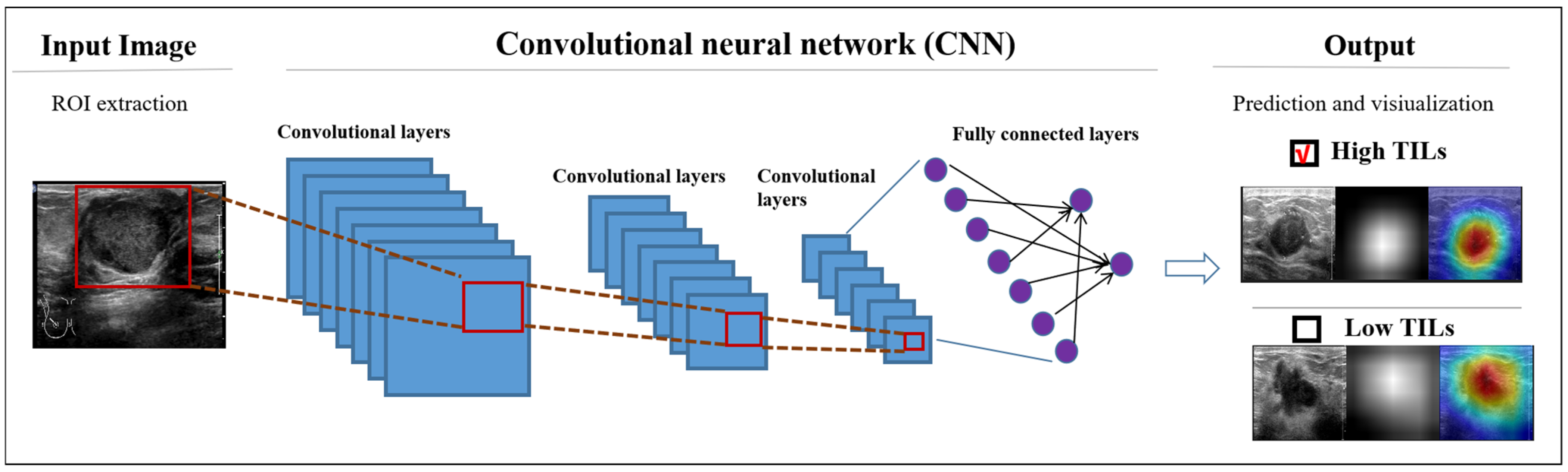 Bioengineering 12 00288 g004