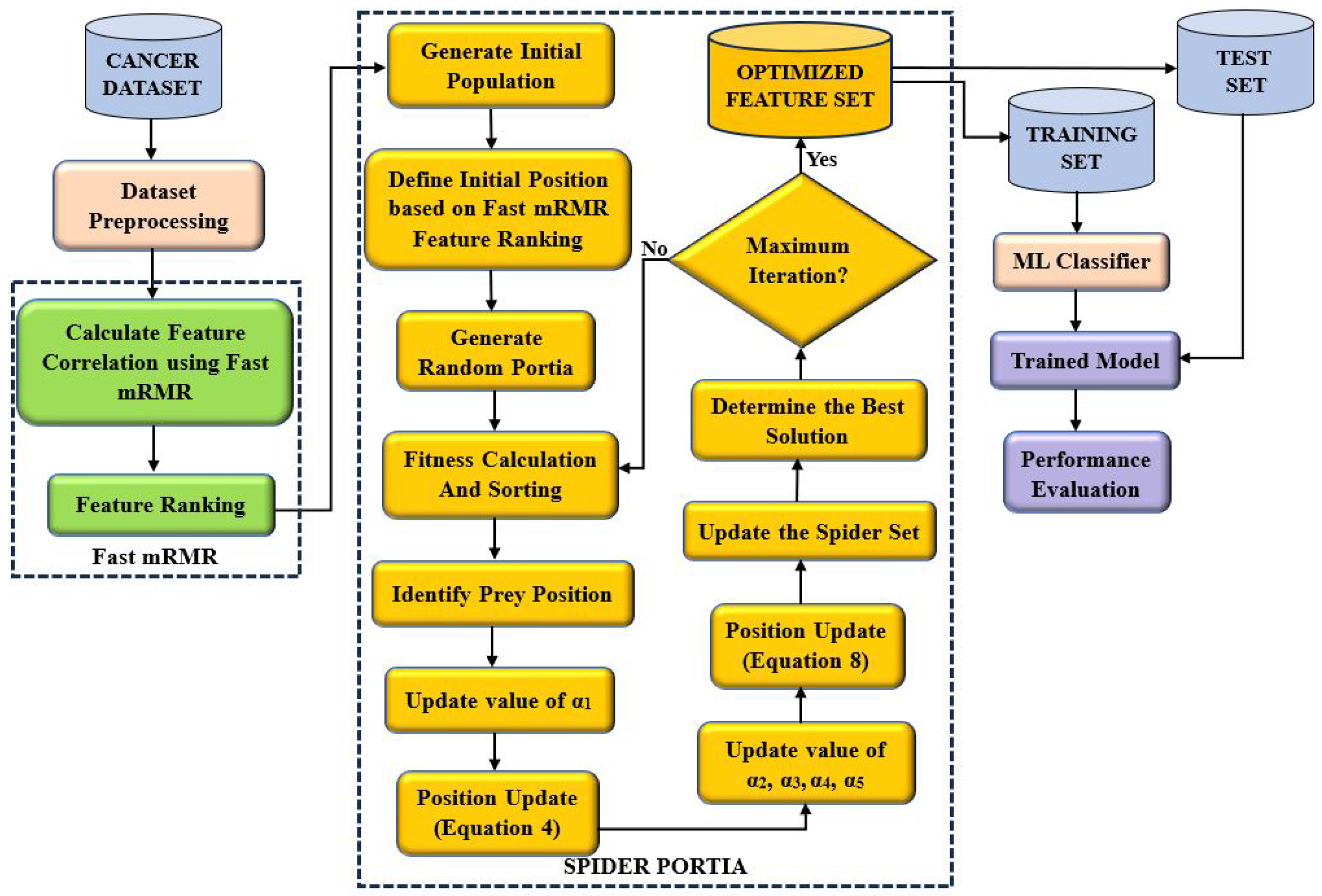 Bioengineering 12 00291 g001