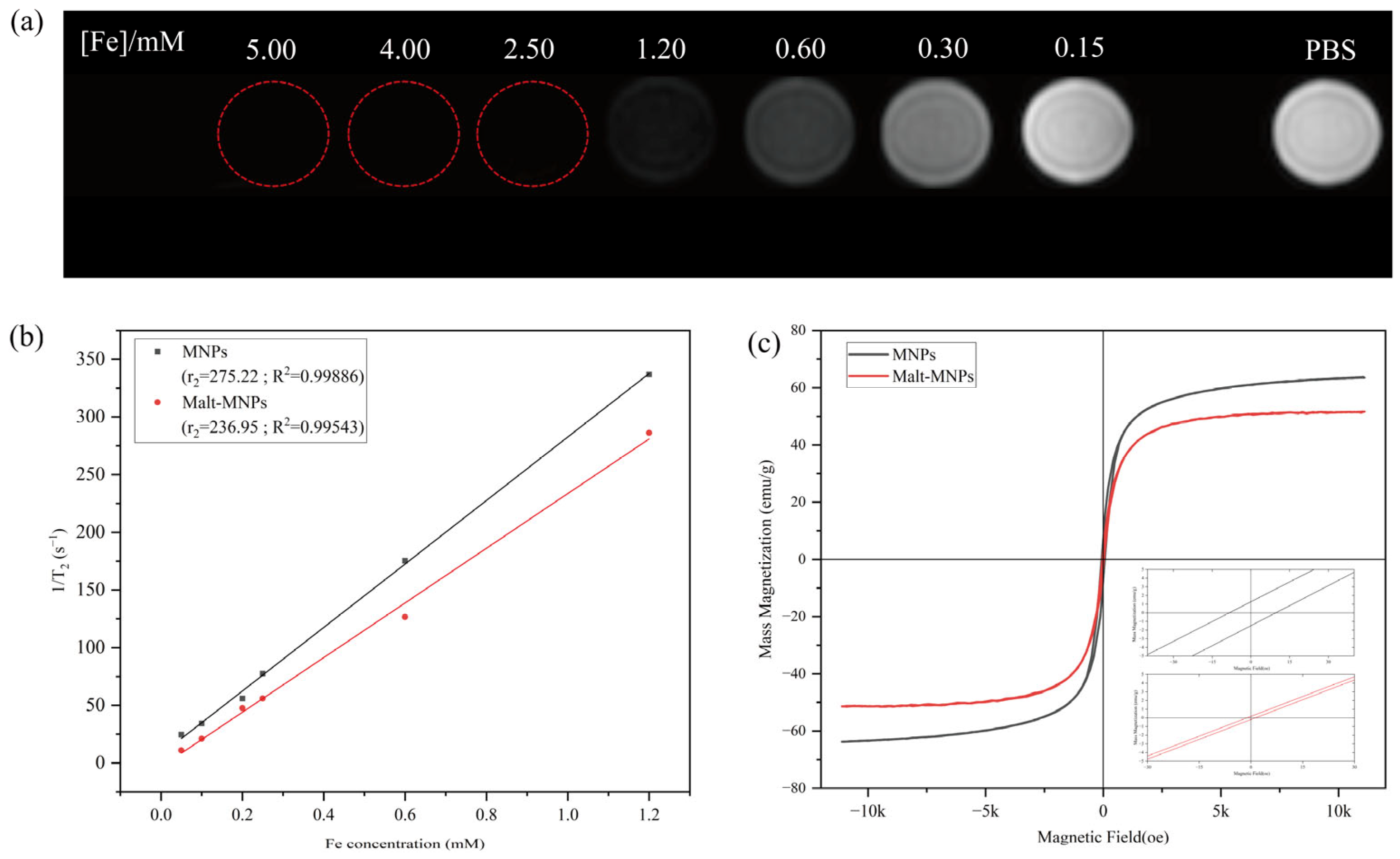 Bioengineering 12 00296 g003