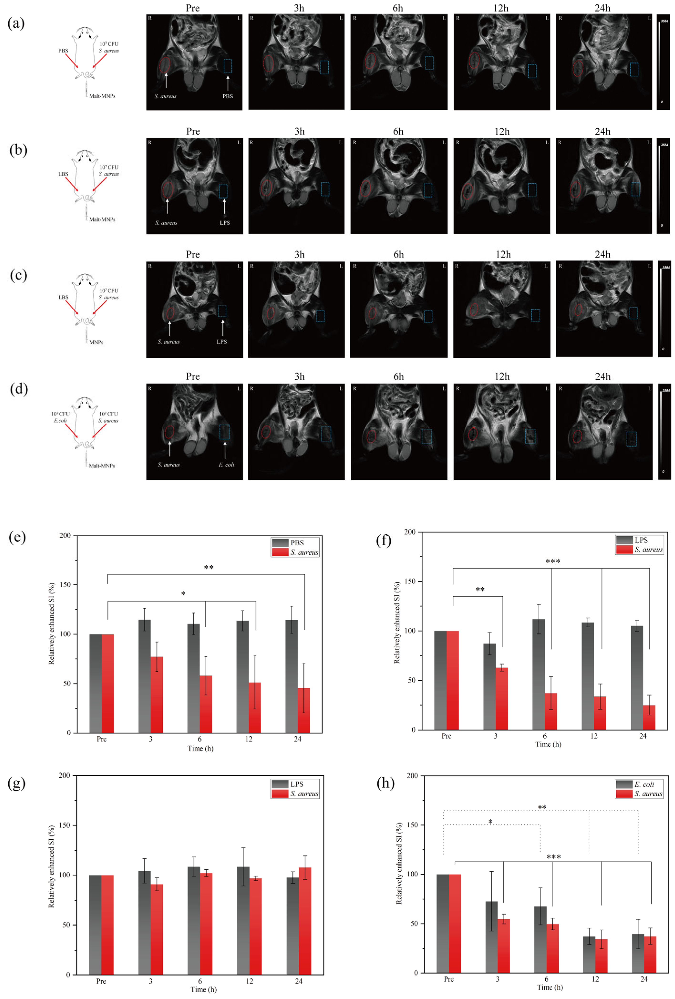 Bioengineering 12 00296 g005